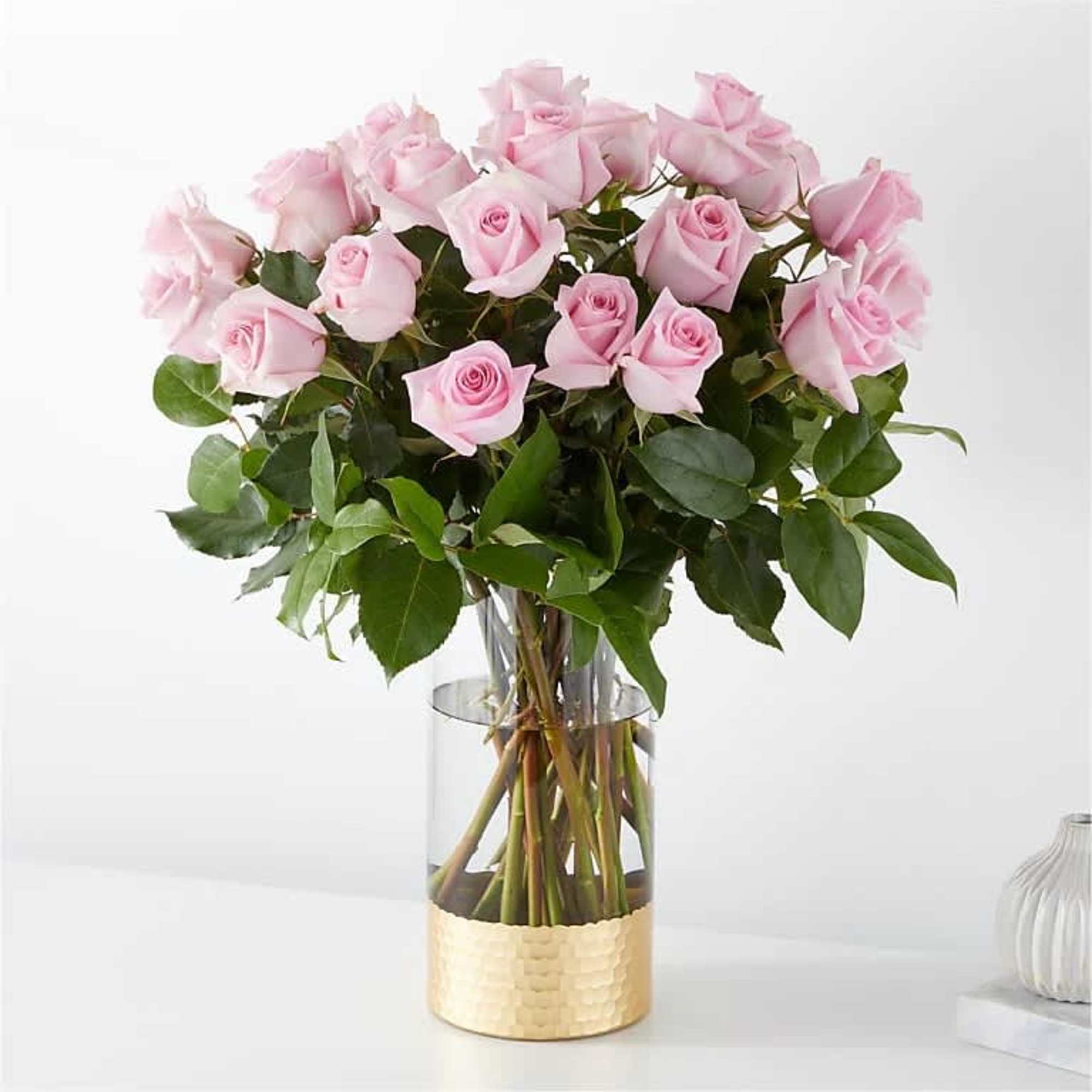 The picture perfect petals of pink roses gracefully unfold, showcasing their timeless