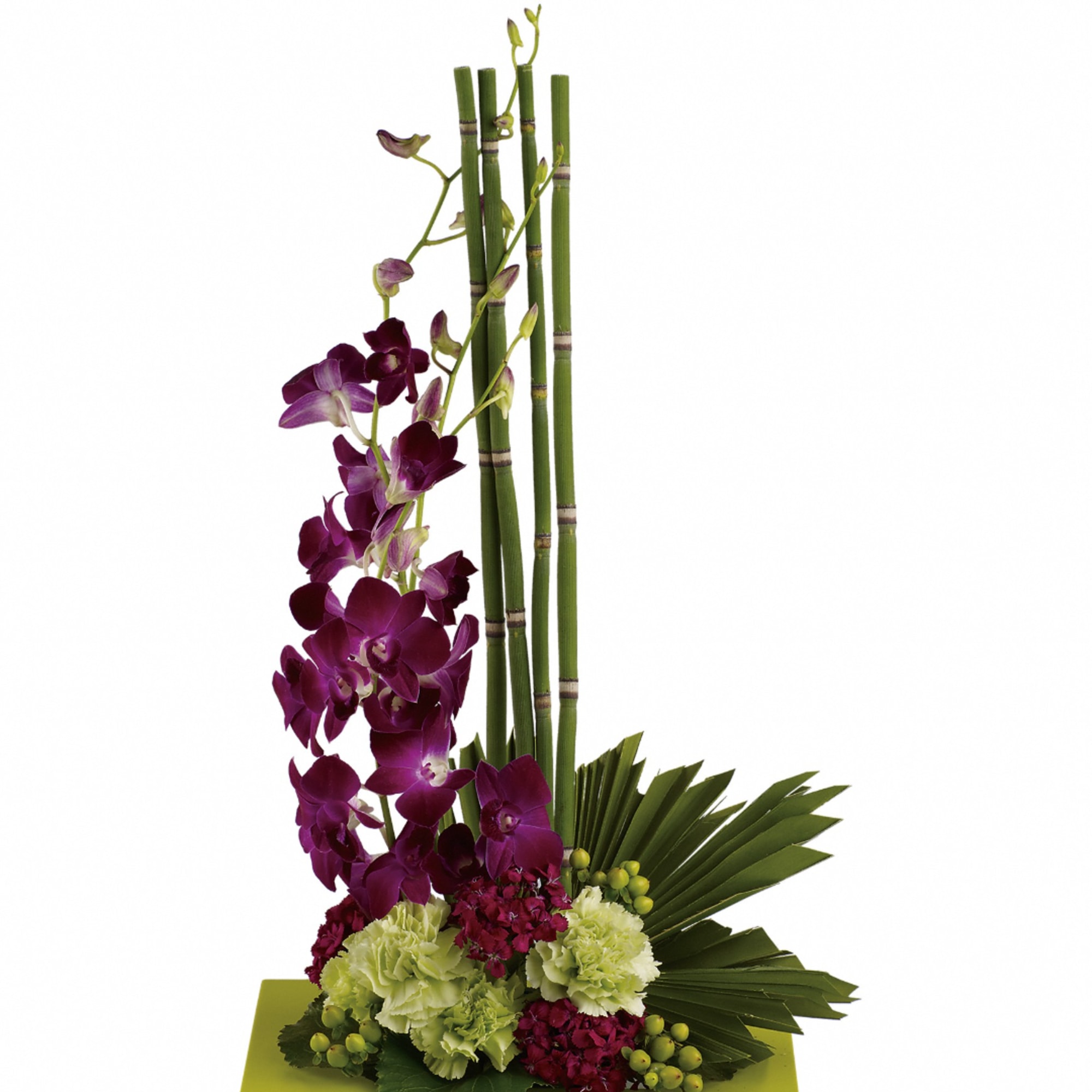Purple orchids with green bamboo and carnations in a low arrangement