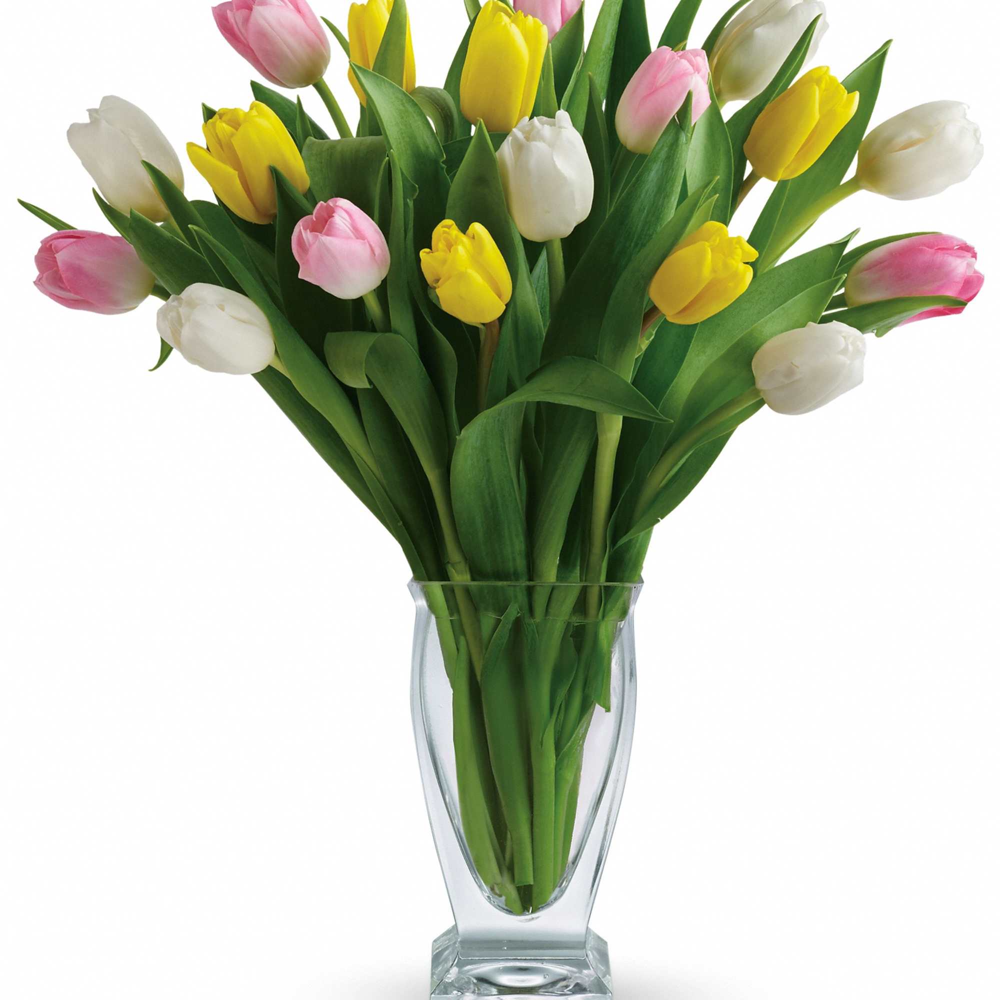 There's no reason to tiptoe around the sheer delight of tulips! And