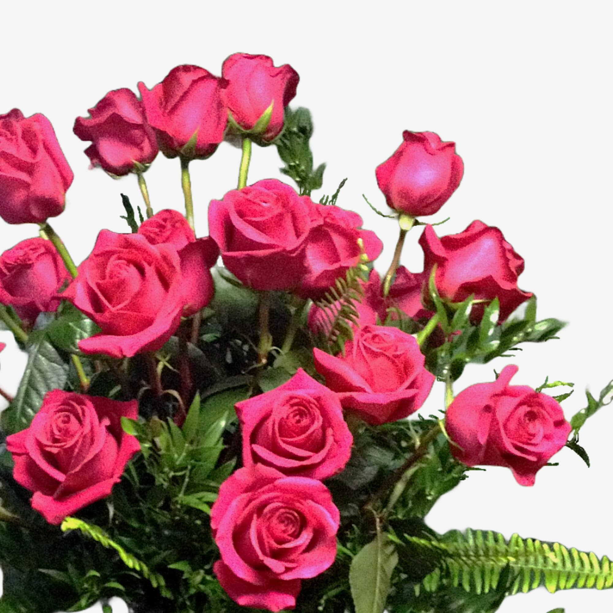 Bouquet of bright pink roses with greenery