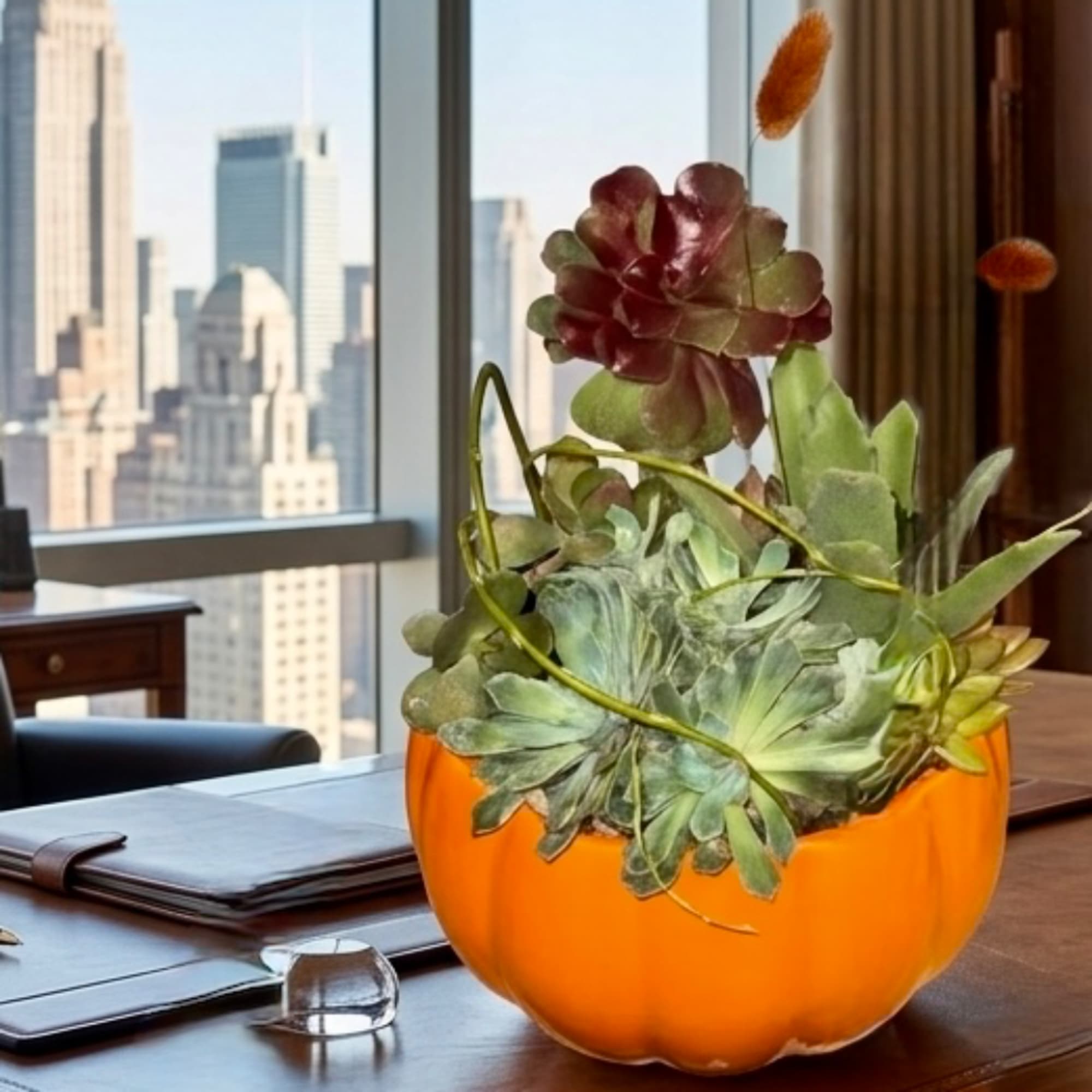 Succulent arrangement in an orange pumpkin-shaped container on a desk