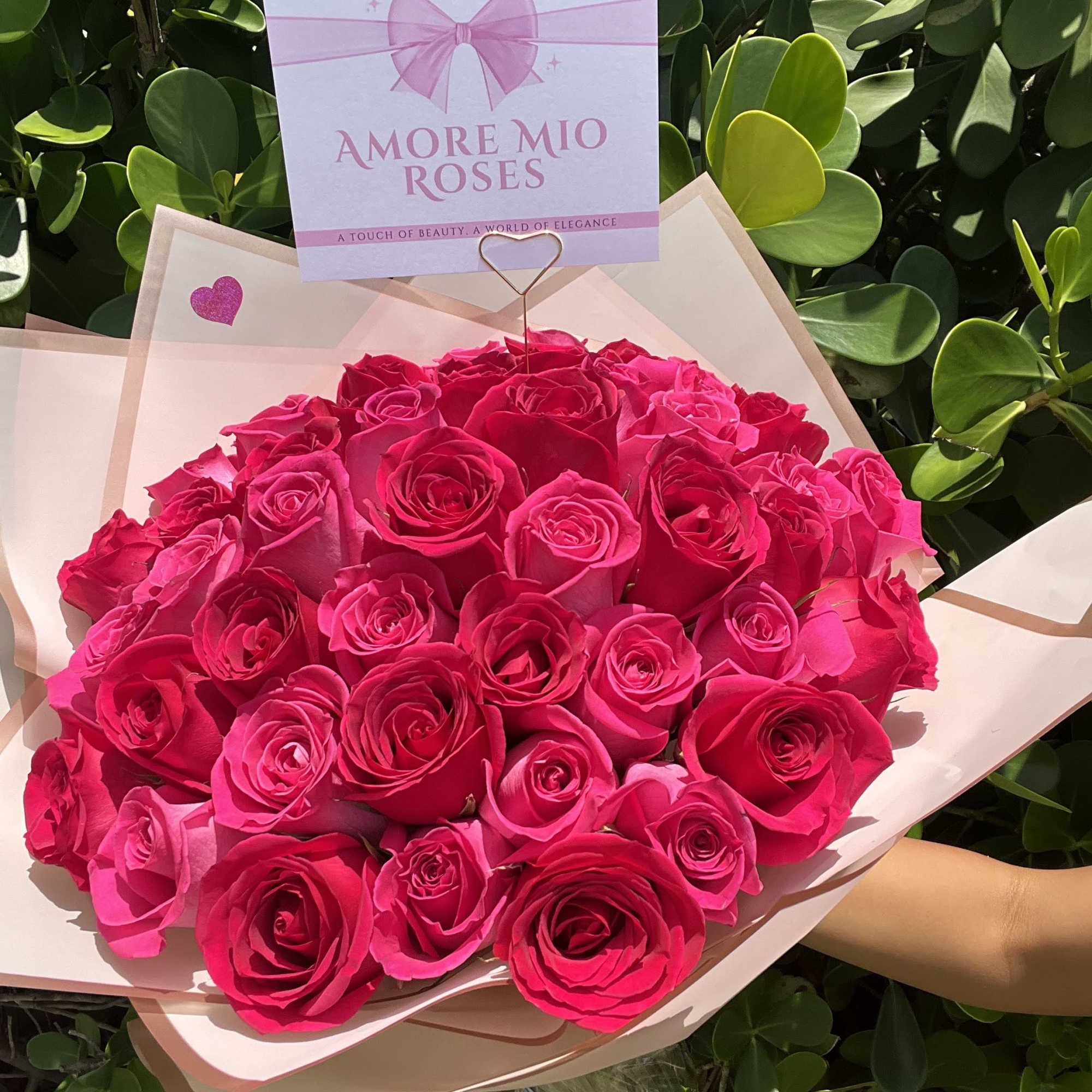 Bouquet of bright pink roses wrapped in pale pink paper