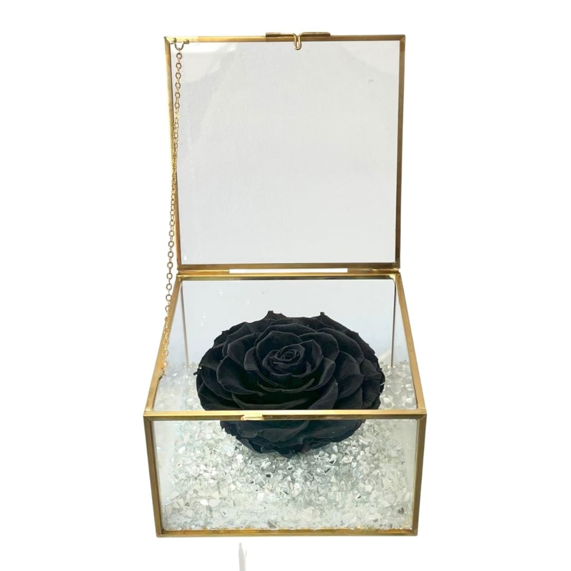 Black rose in a gold glass box with clear filler