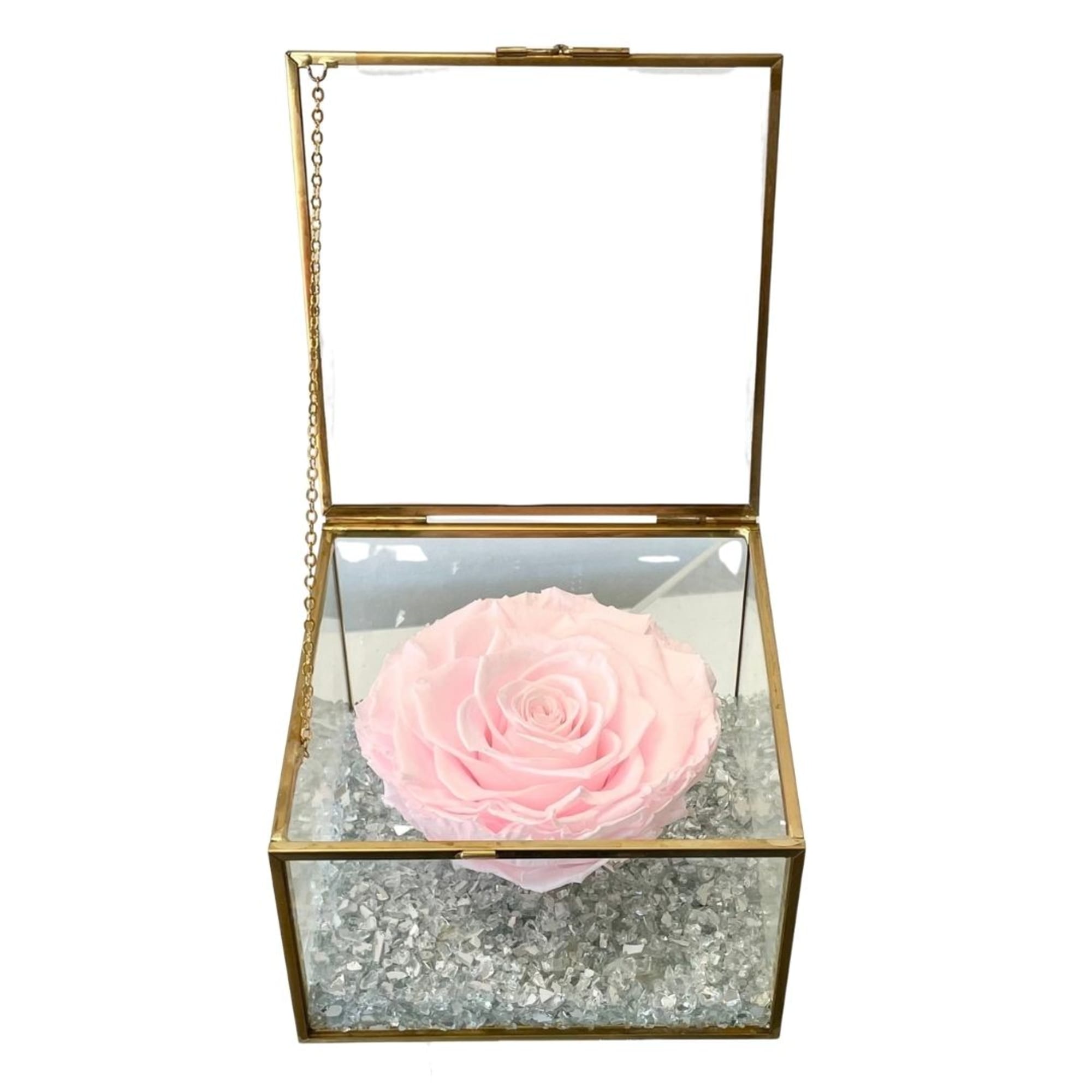 Single pale pink rose in a glass box with a gold frame