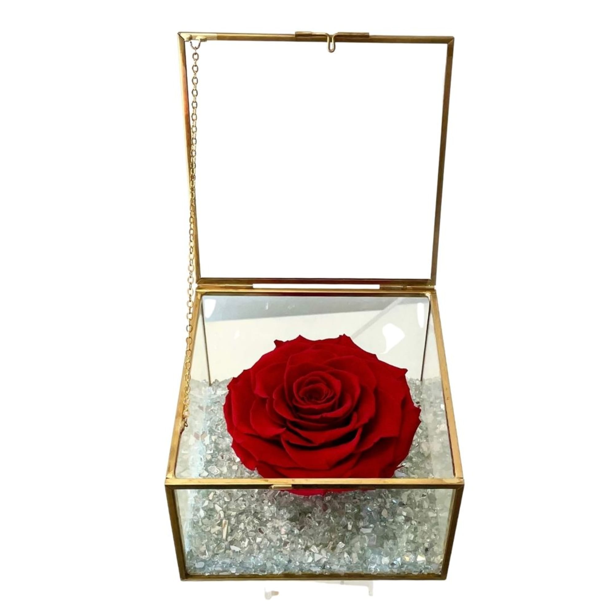 Single red rose in a gold glass box with crystal filler