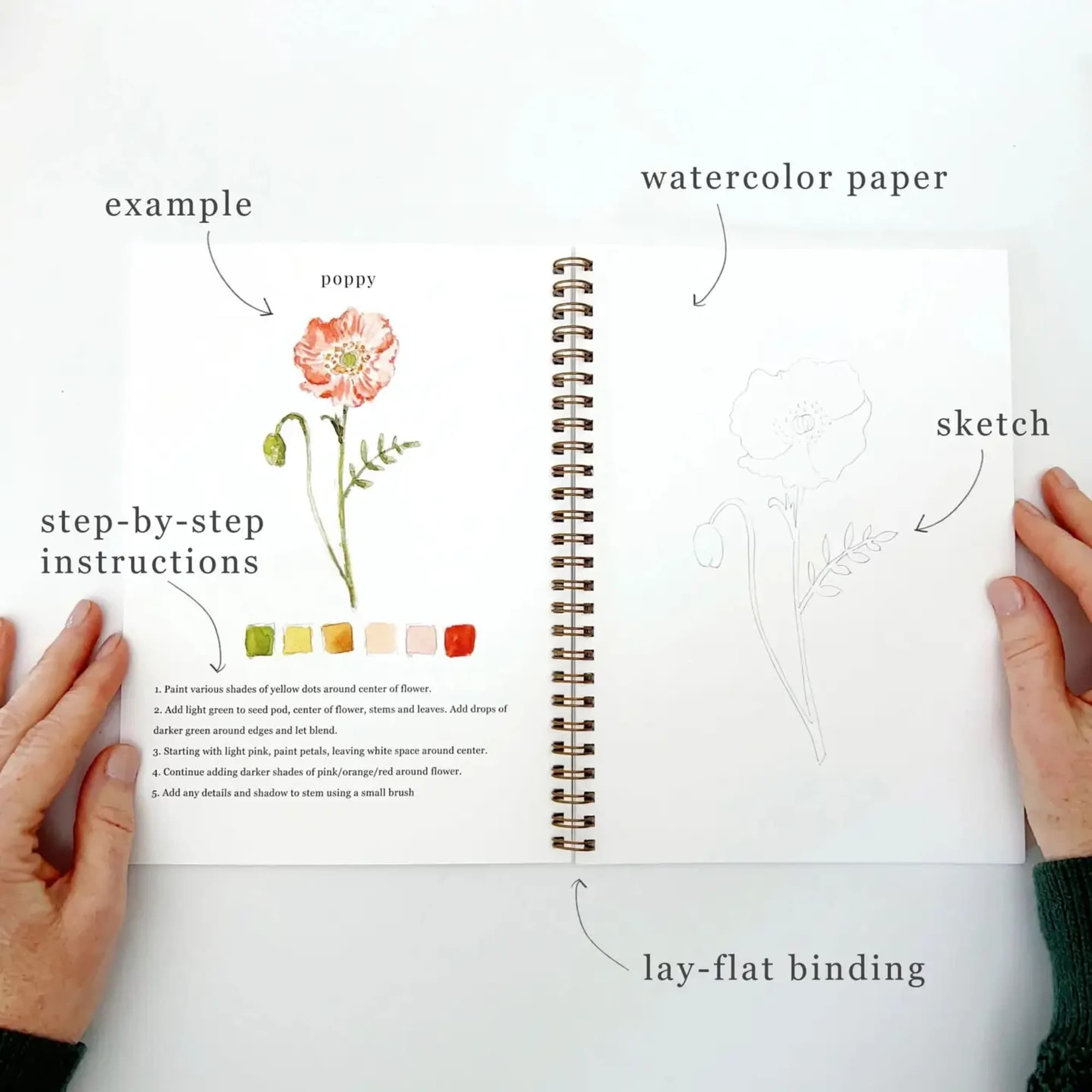 Open spiral sketchbook showing a watercolor poppy tutorial and pencil sketch