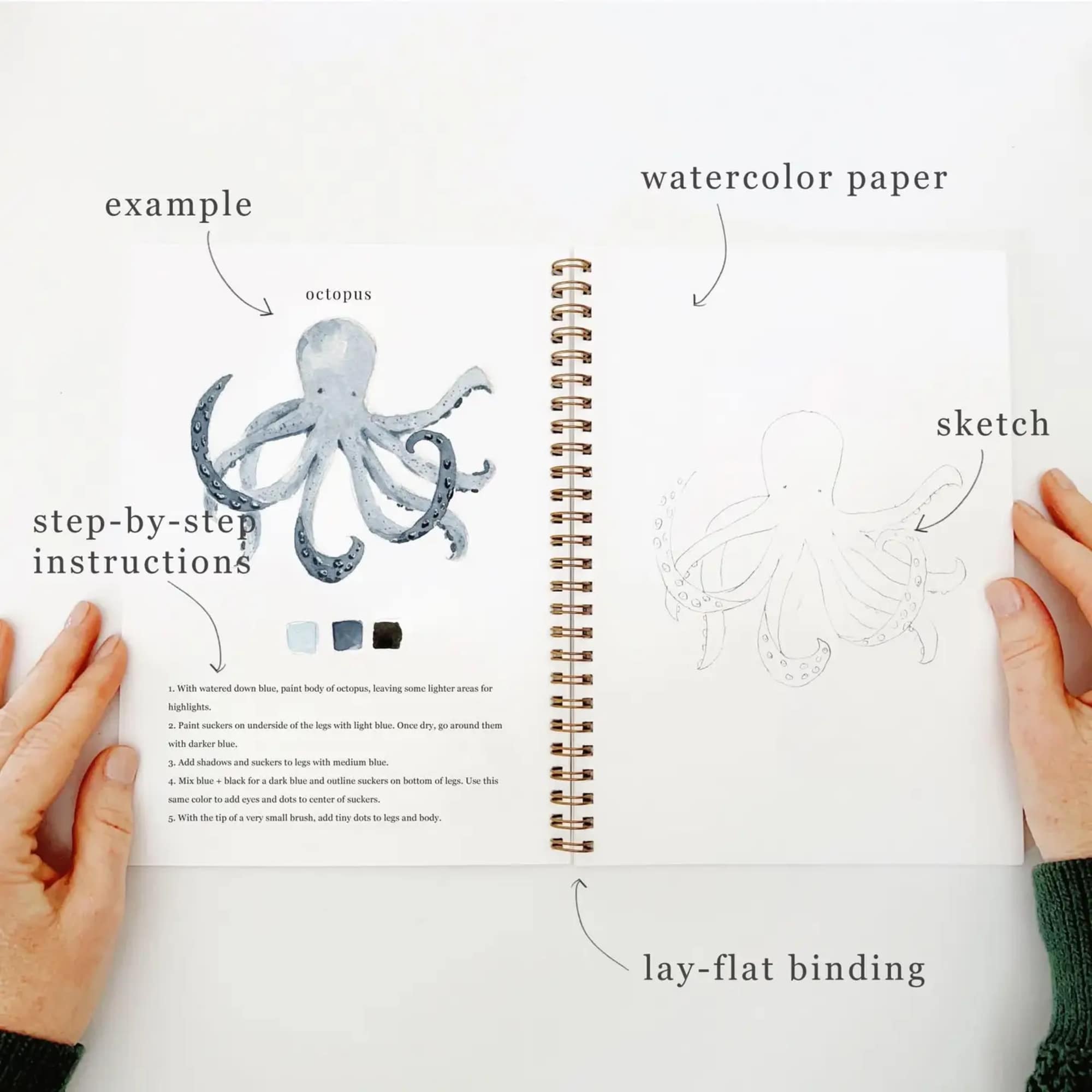 Open spiral sketchbook showing an octopus watercolor tutorial and sketch