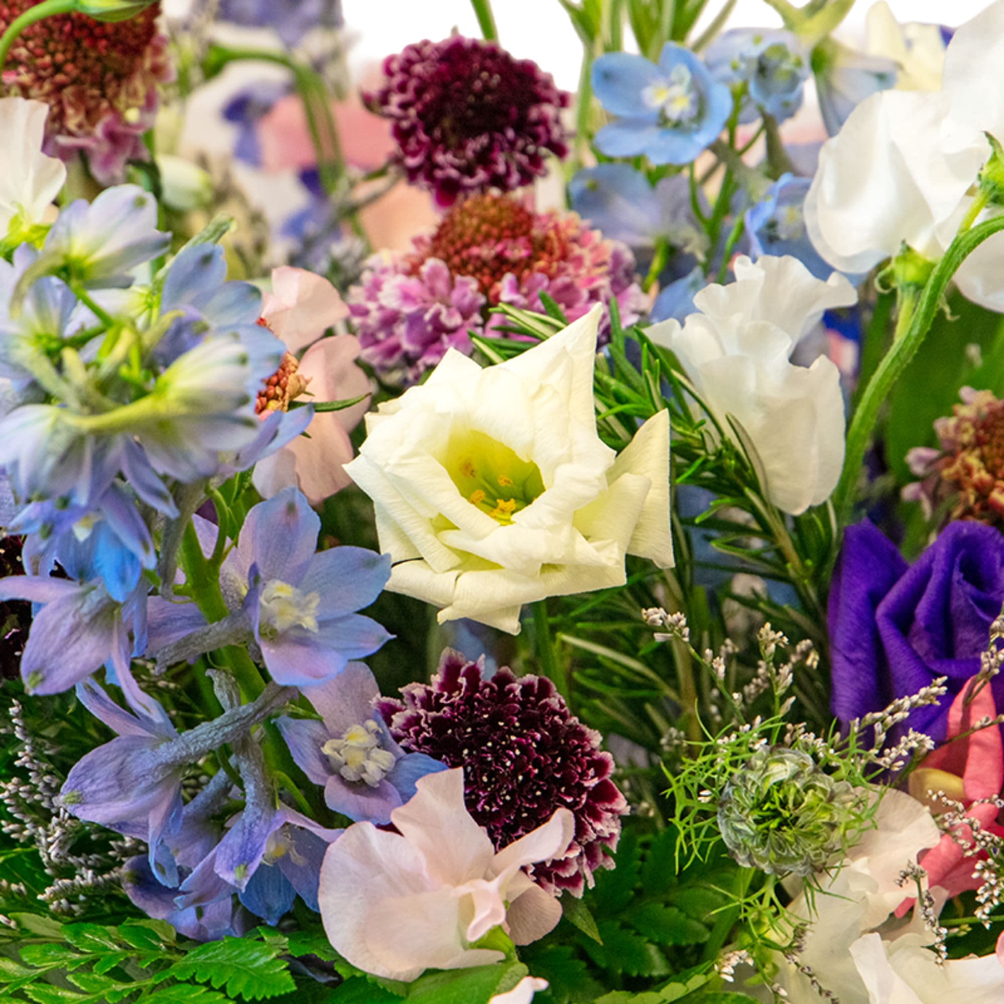 Send the gift of whimsy with this thoughtfully designed arrangement that gives, photo 2 of 2