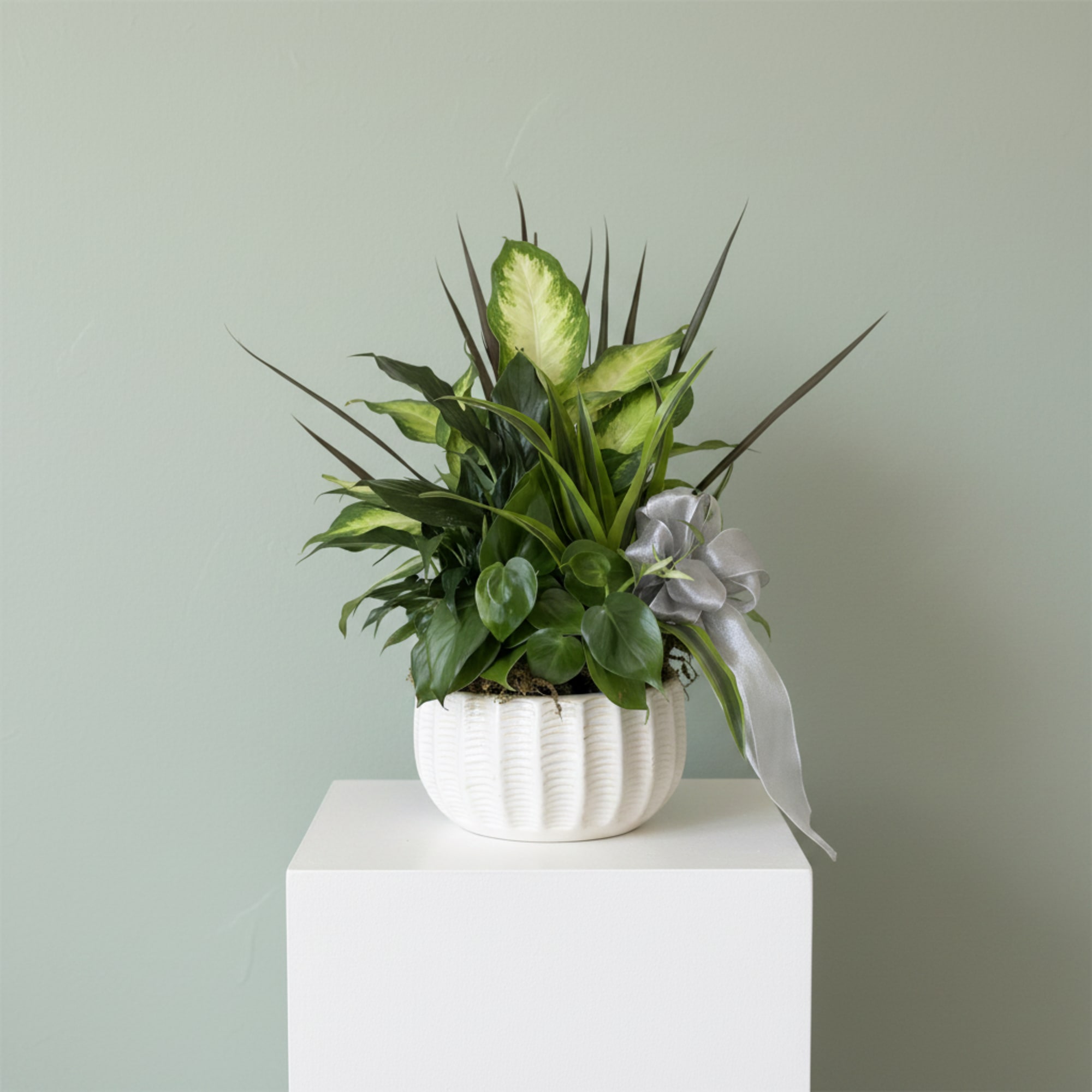 A lush, sculptural dish garden that combines glossy green leaves, bold yellow-red