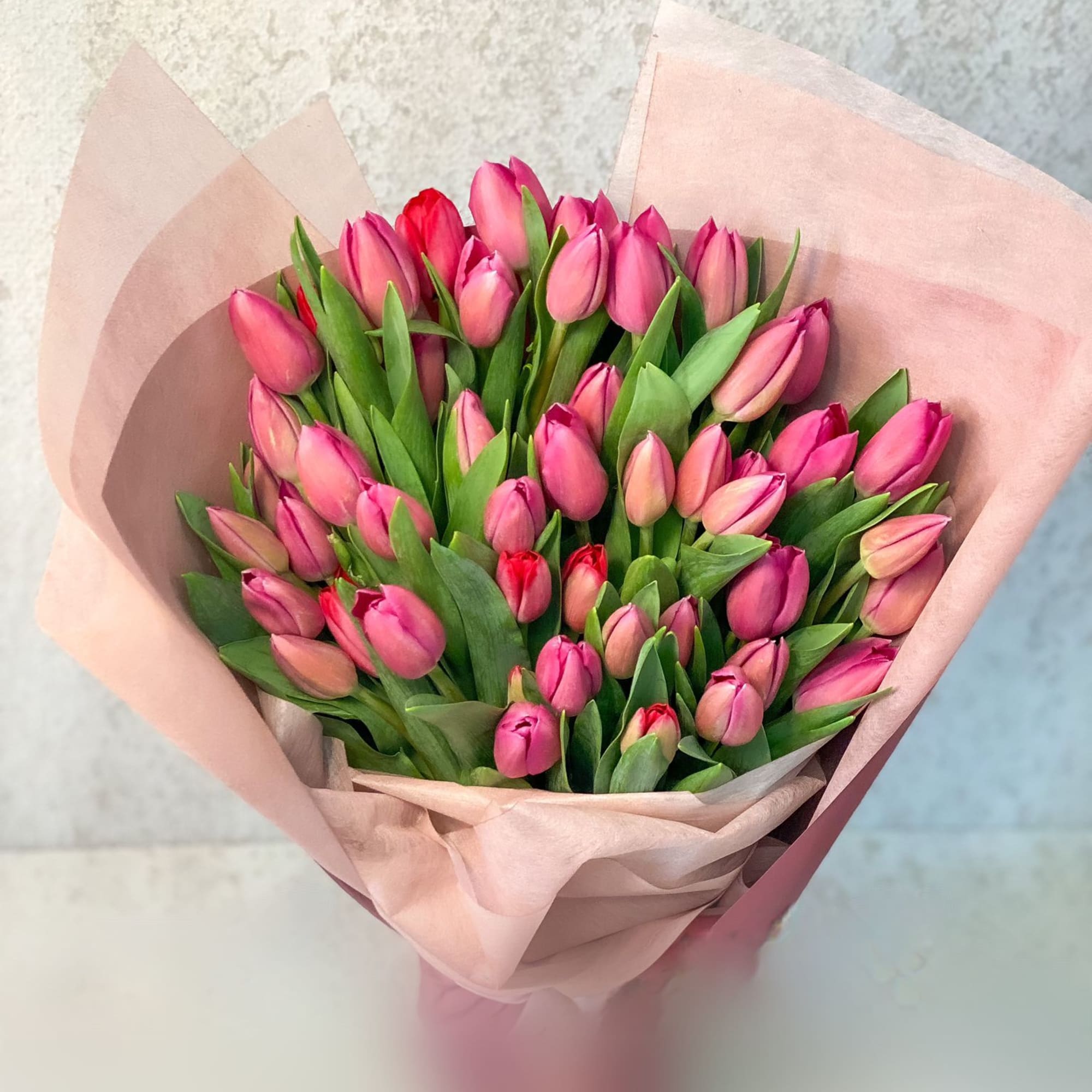 Bouquet of pink tulips wrapped in pale pink paper