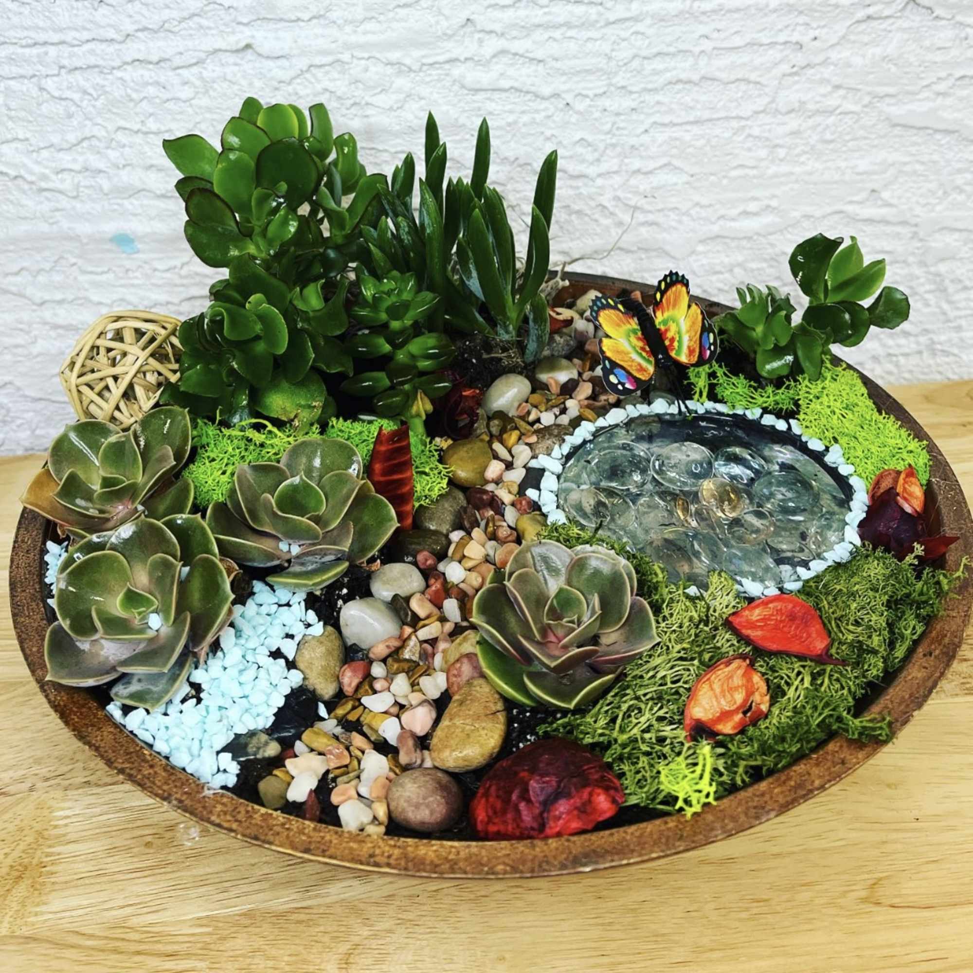 Succulent dish garden in a shallow round planter with decorative stones