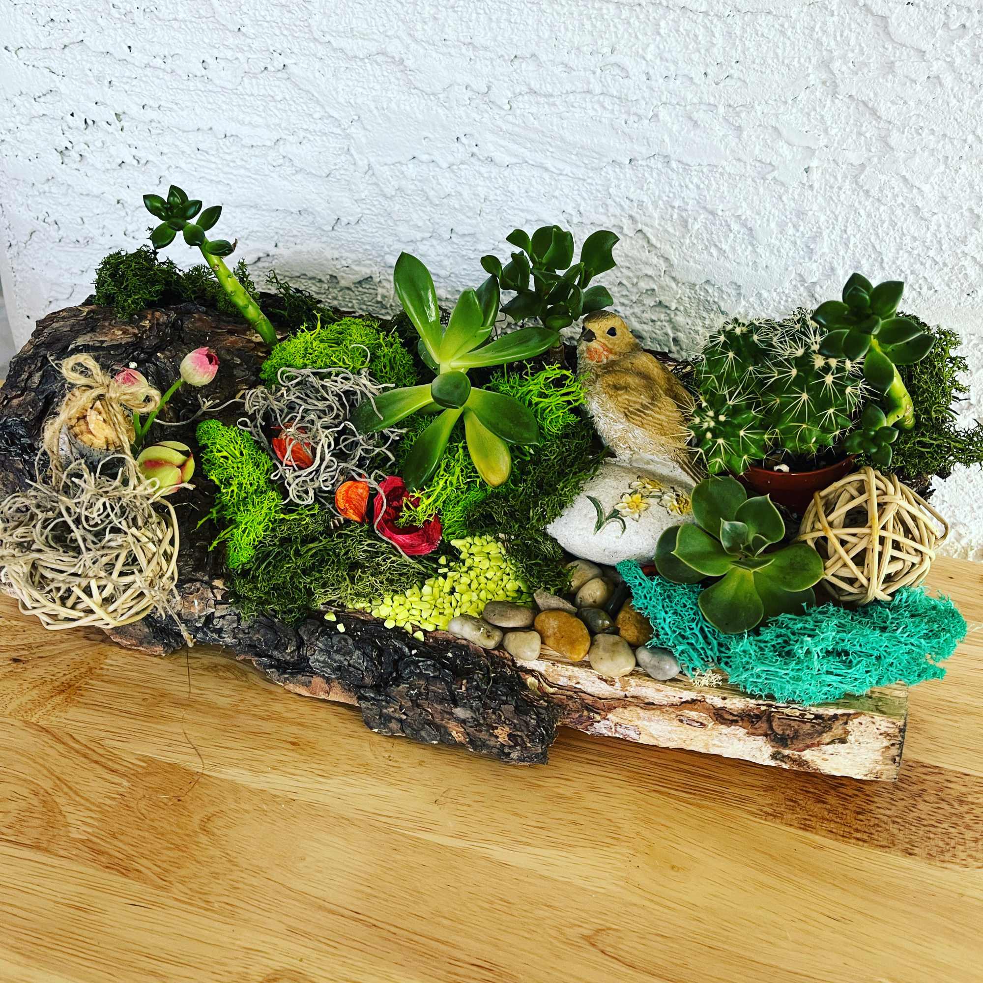 Succulent and cactus arrangement on a bark base with decorative bird and wicker spheres