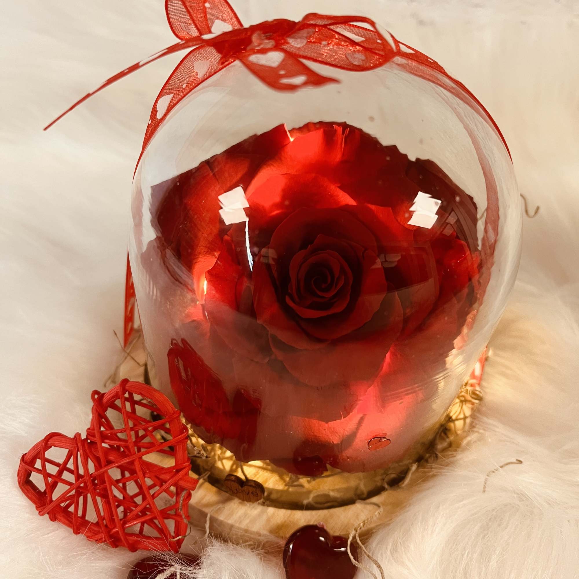 Single red rose in a clear dome with red heart decorations