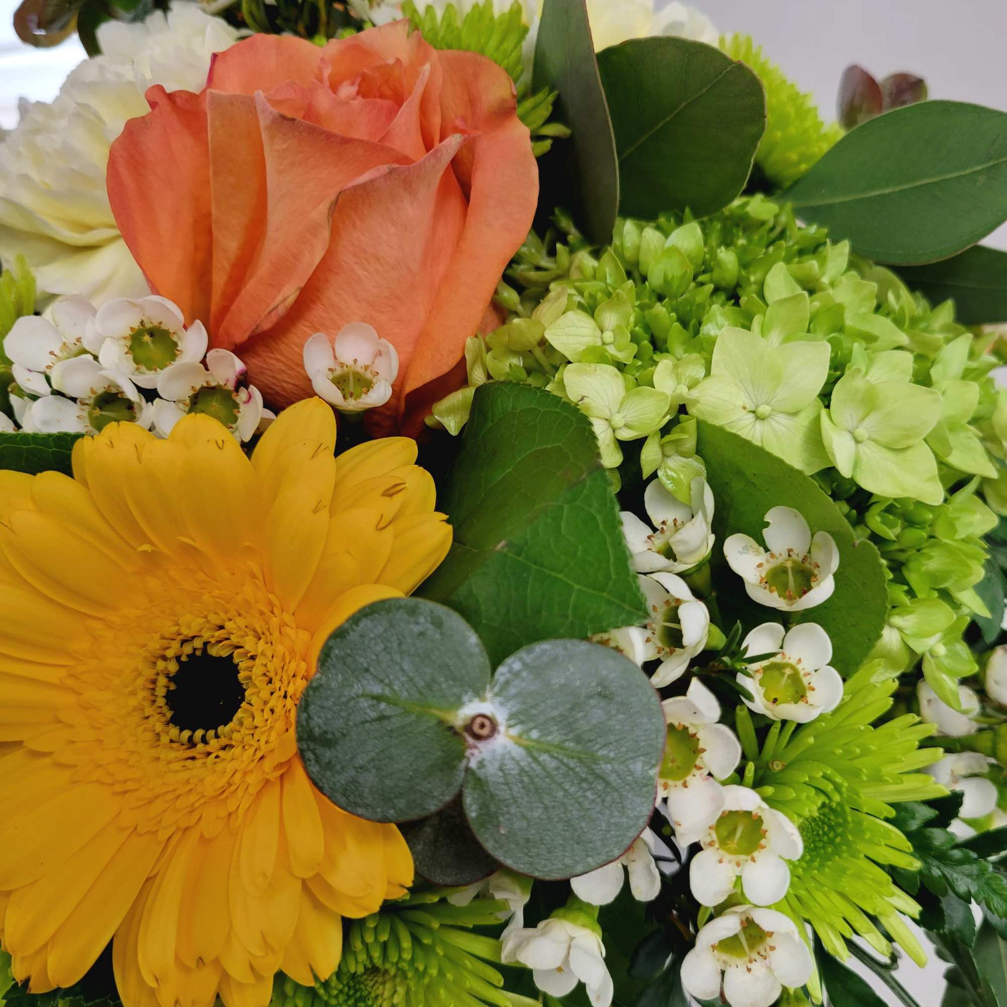 Bouquet with orange rose, yellow gerbera daisy, green hydrangea, and white filler flowers