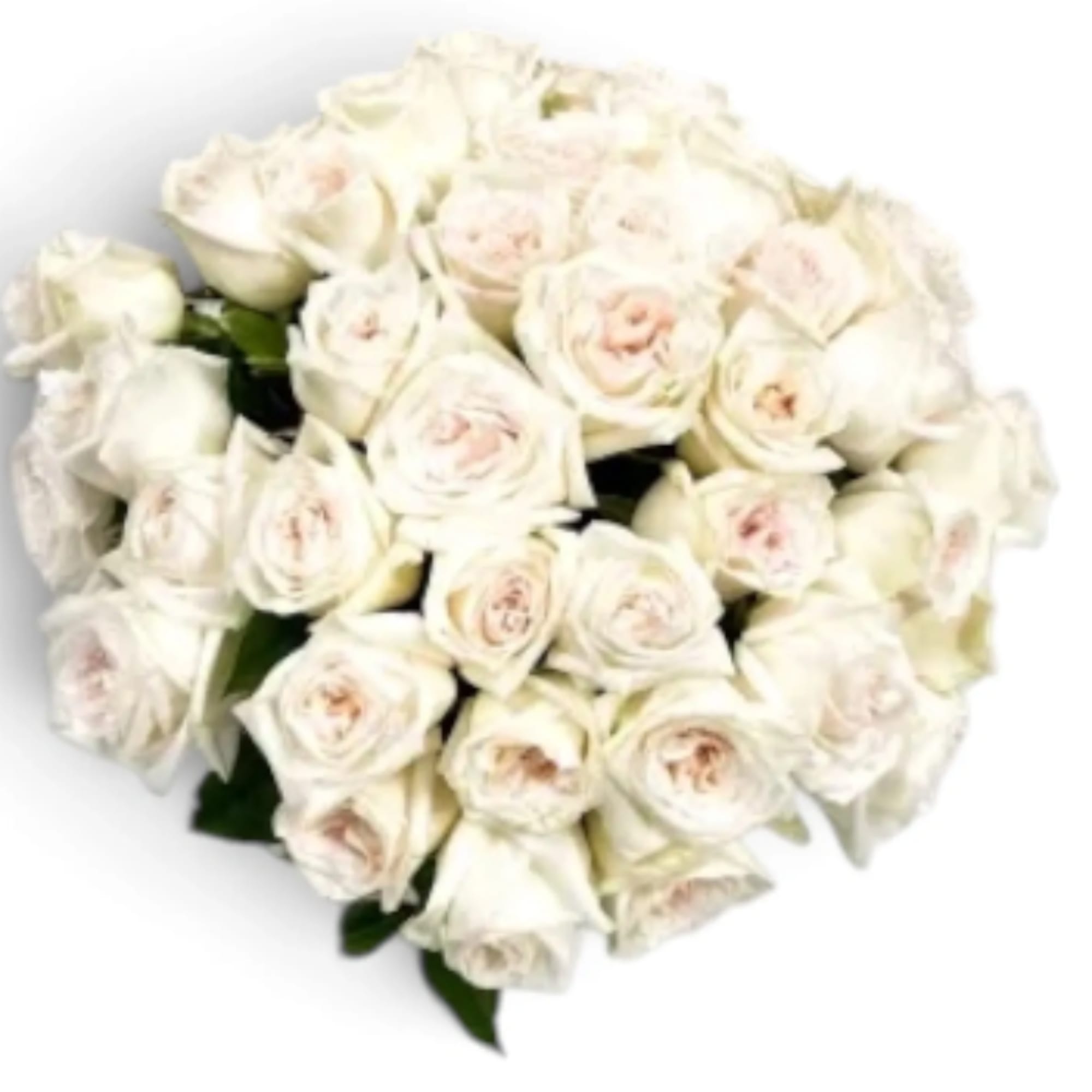 Bouquet of white roses with pale pink centers