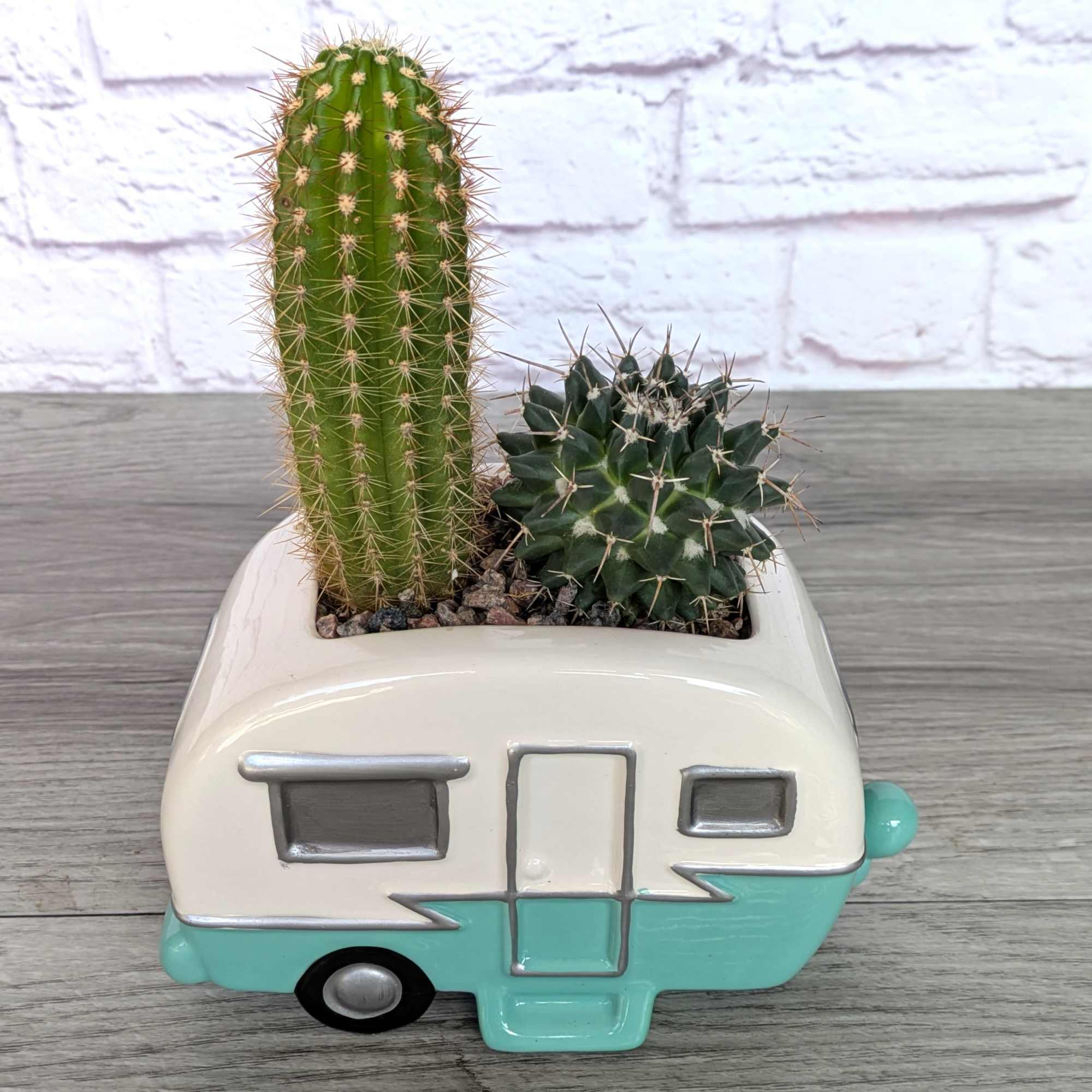 Two small cacti in a camper-shaped ceramic planter