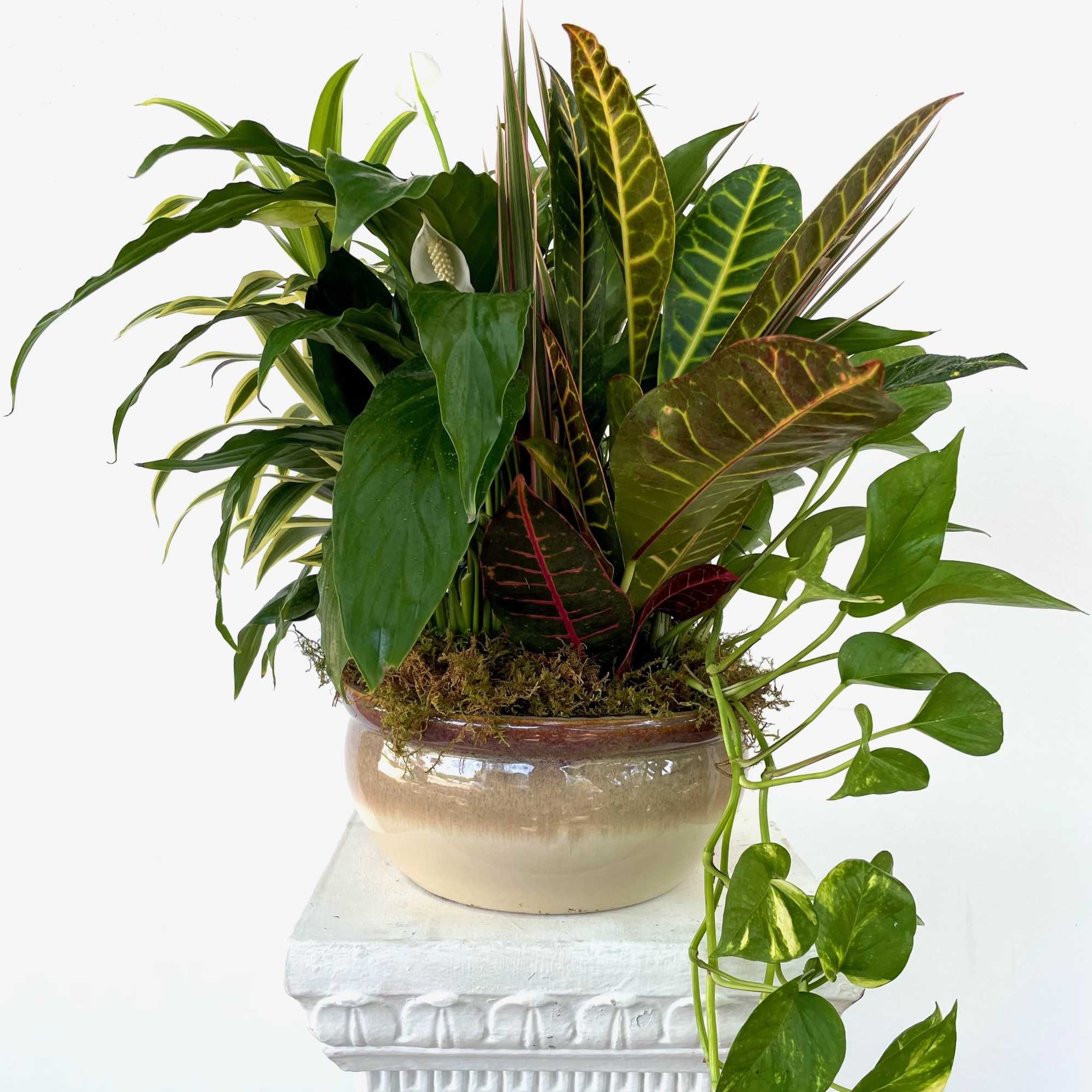 Tropical foliage arrangement in a ceramic bowl on a pedestal