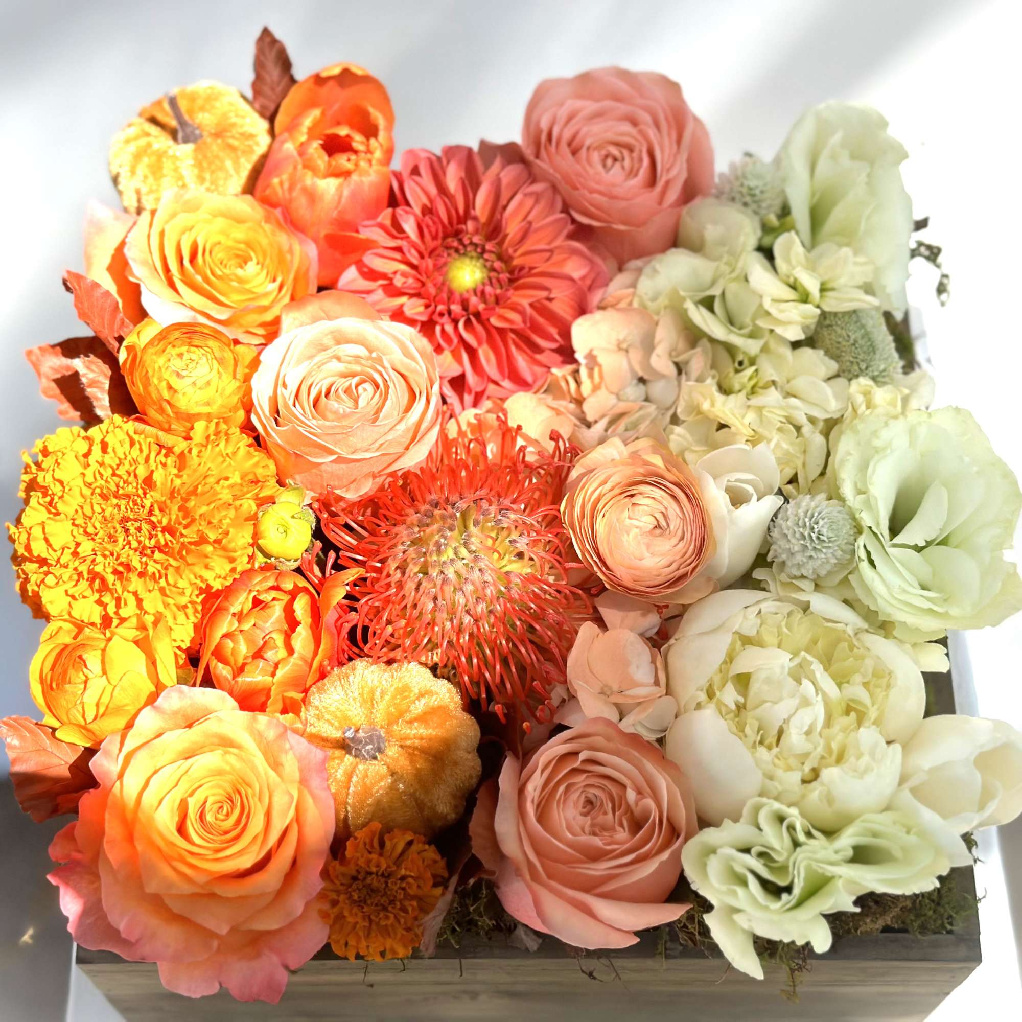 Ombre Orange, Peach, and Cream/White, photo 2 of 2