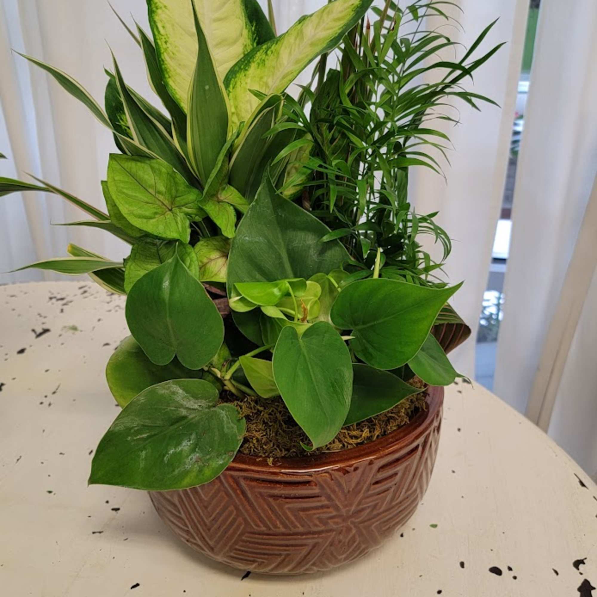 Mixed green houseplant arrangement in a brown ceramic bowl