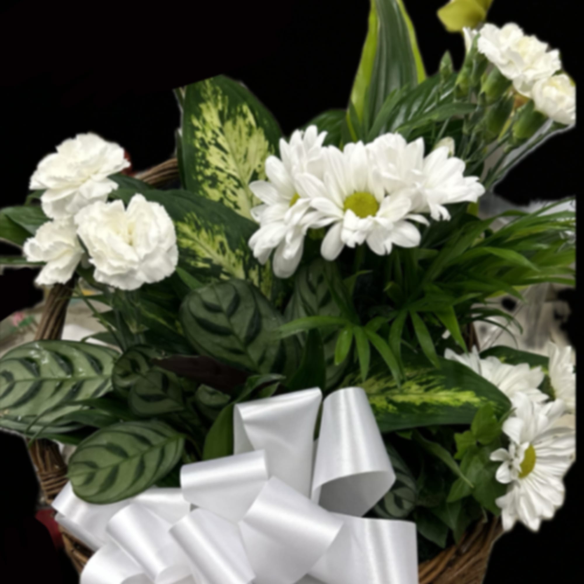 White daisies and carnations in a basket with a white ribbon