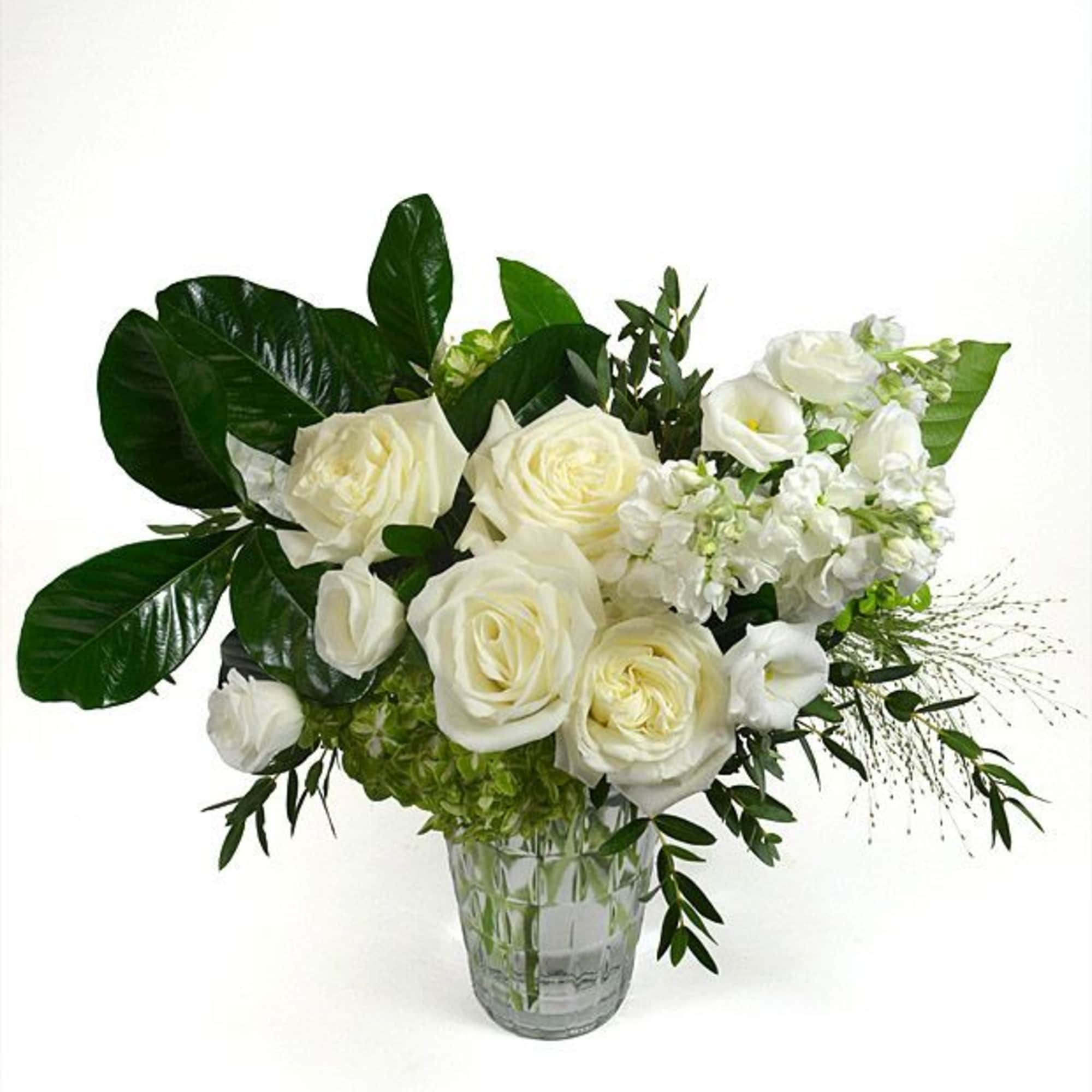 White roses arranged in a clear glass vase with dark green leaves