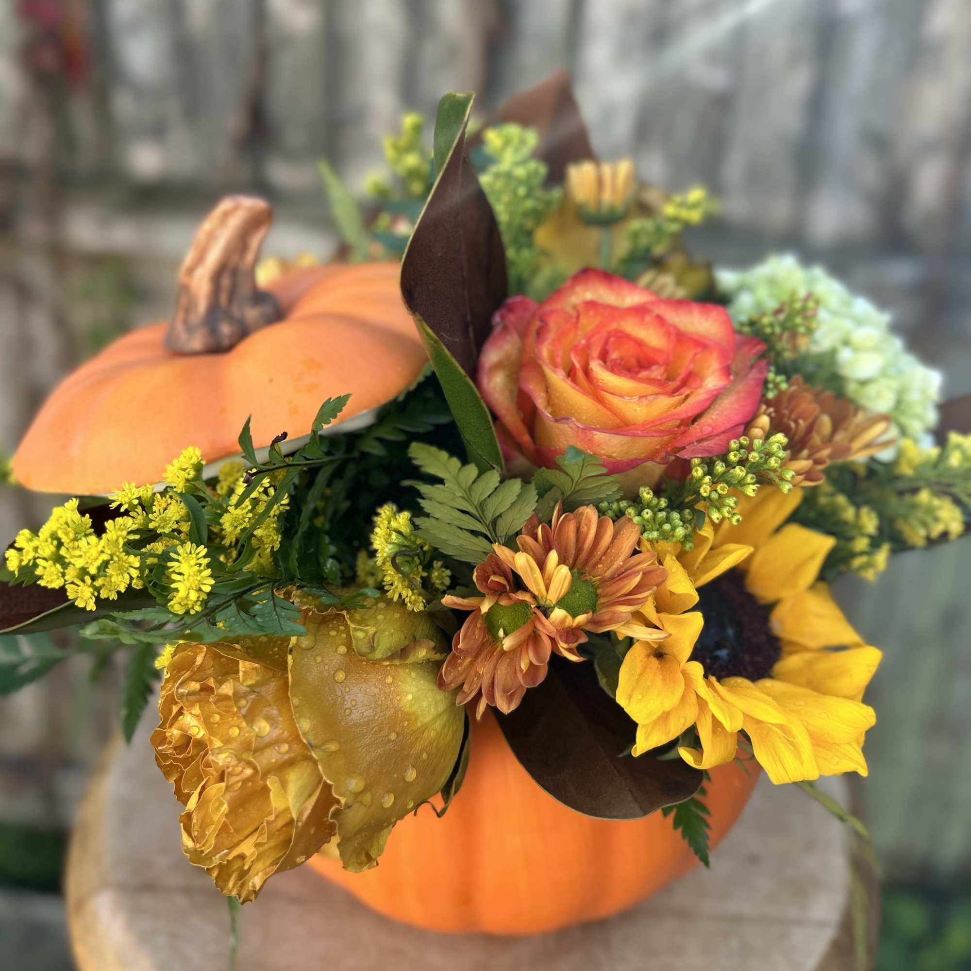 Fall floral arrangement in a pumpkin container with roses and yellow blooms