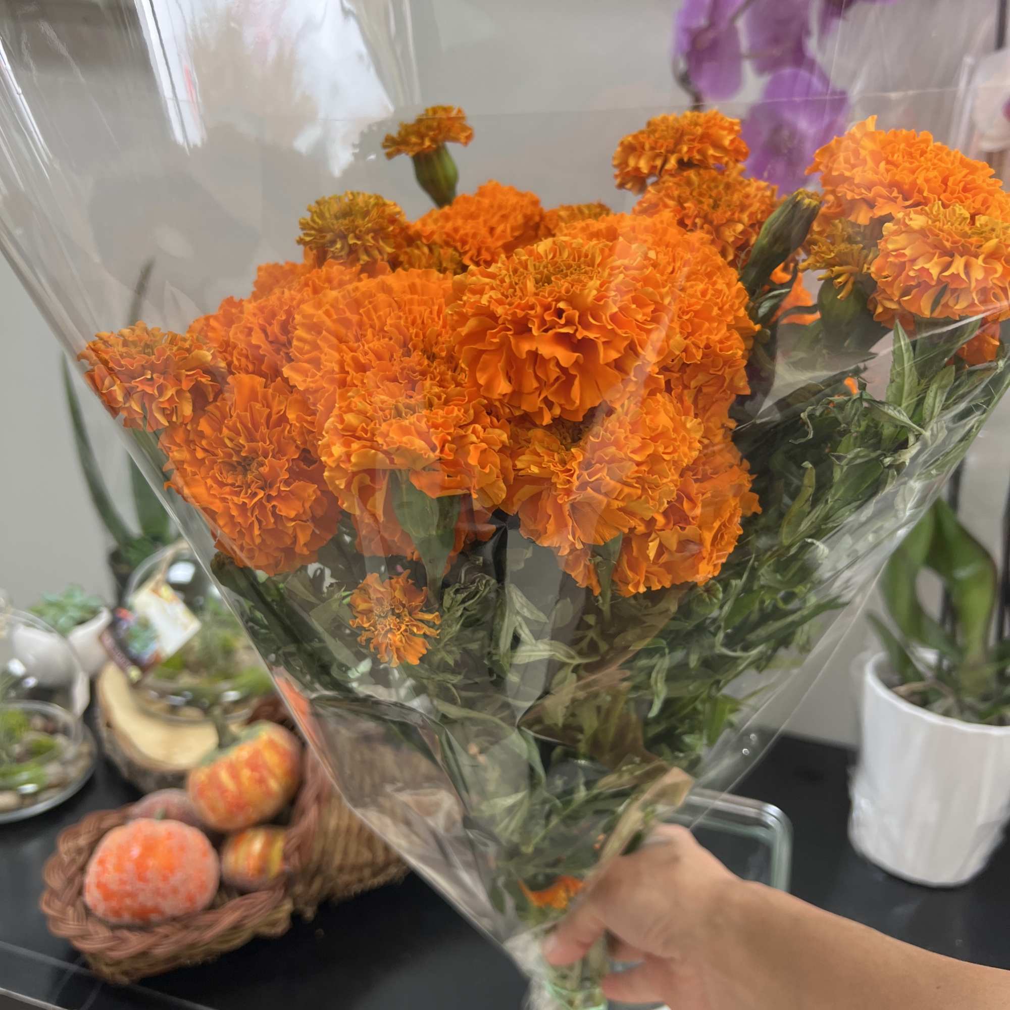 Bouquet of orange marigolds wrapped in clear plastic