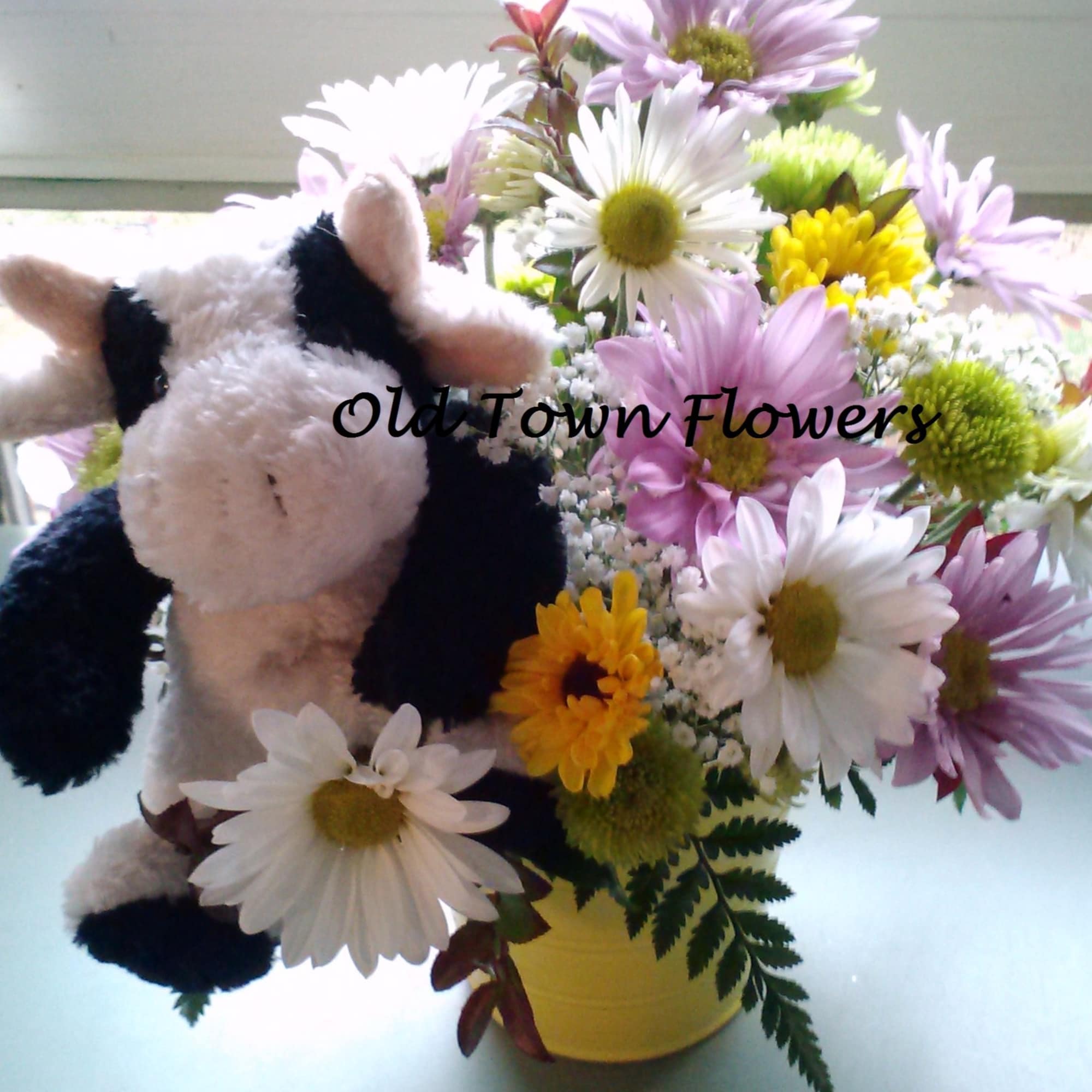 Stuffed cow beside a mixed daisy bouquet in a yellow container