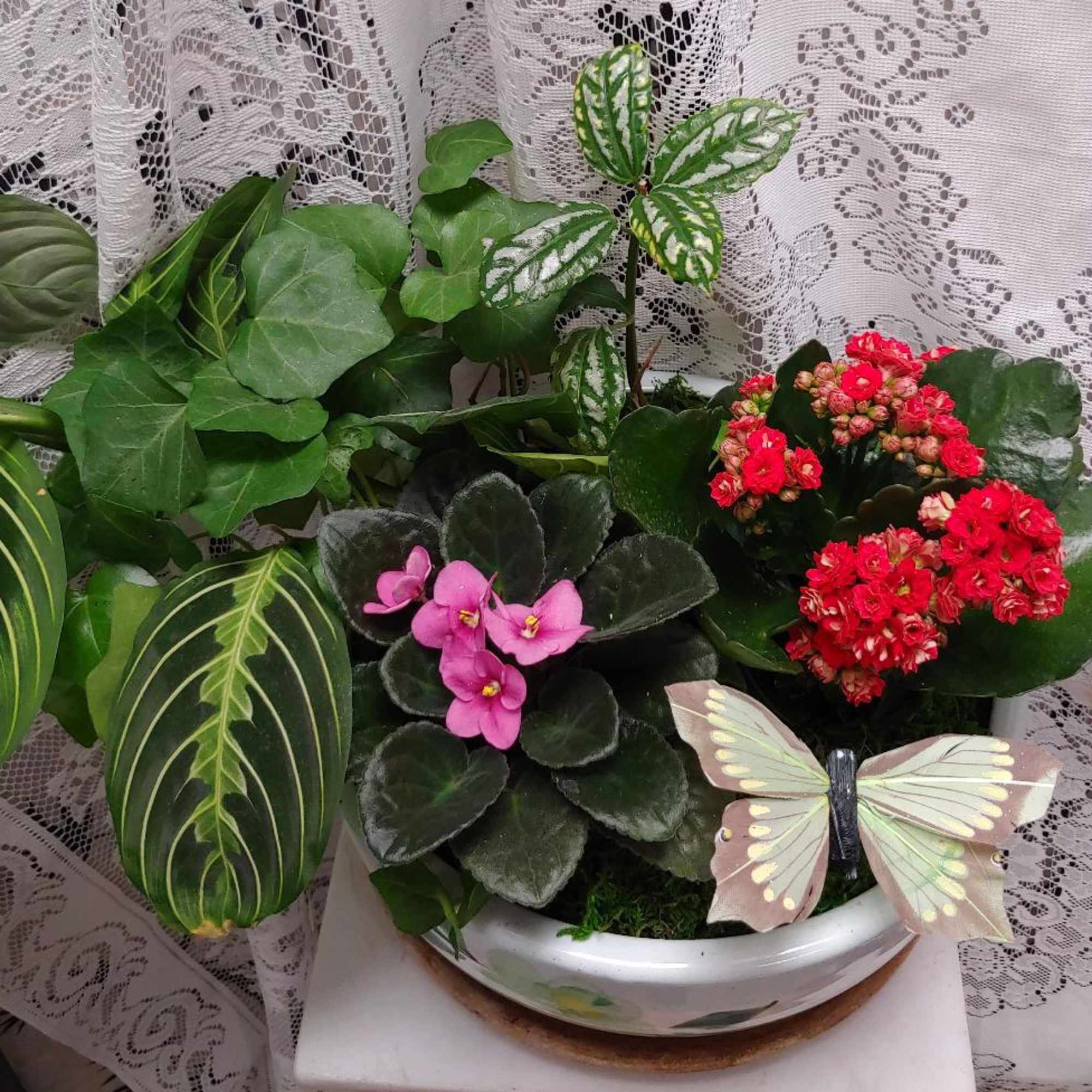 Mixed potted plants with small pink and red blooms in a white bowl planter