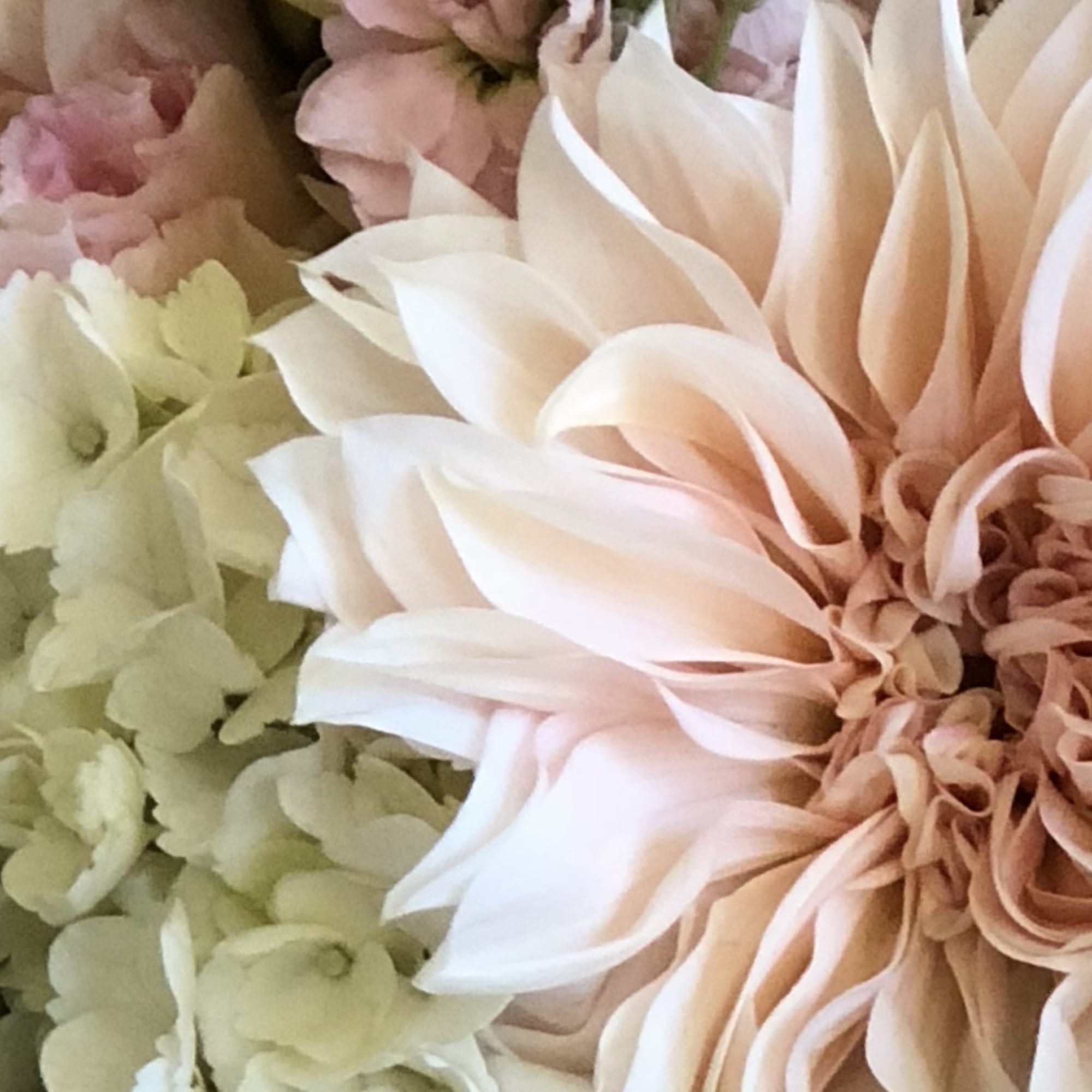 A peach dahlia crowns this hand-tied flower arrangement, opening into layers of, photo 2 of 2