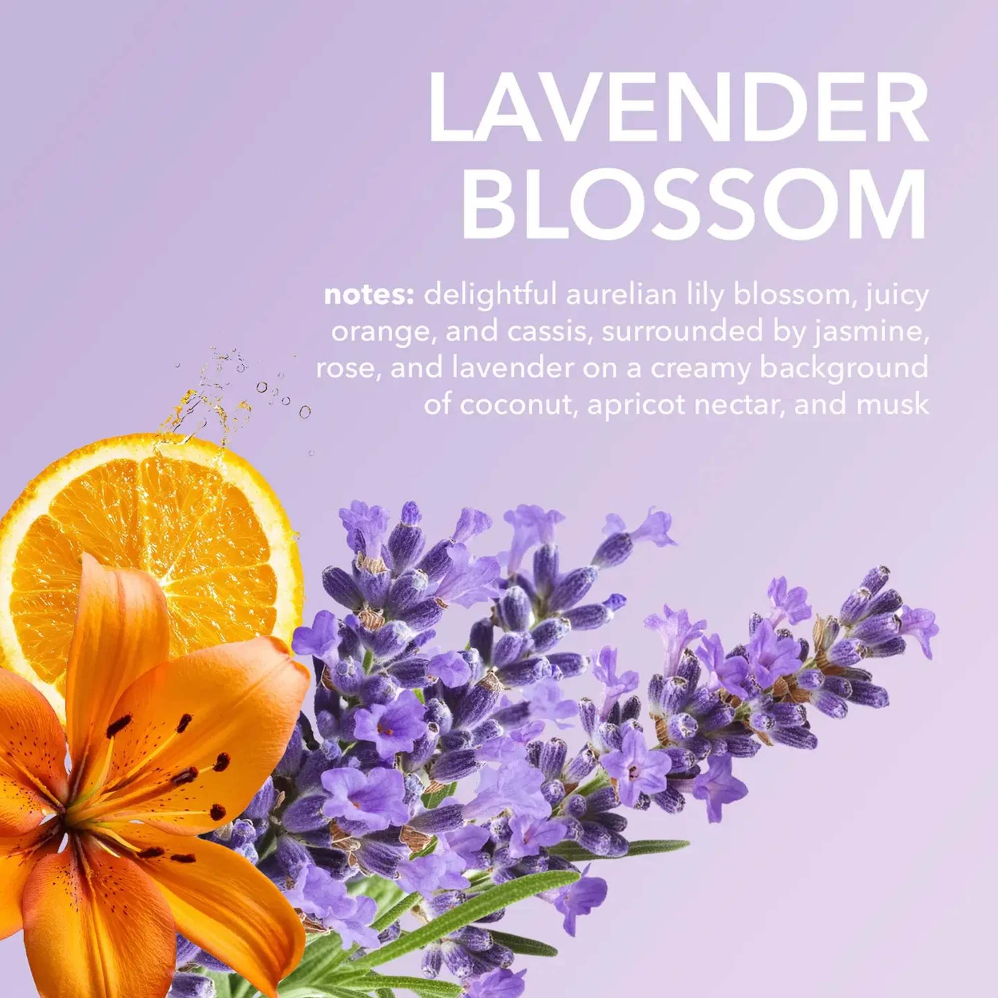 Lavender-themed fragrance graphic with orange slice and purple flowers