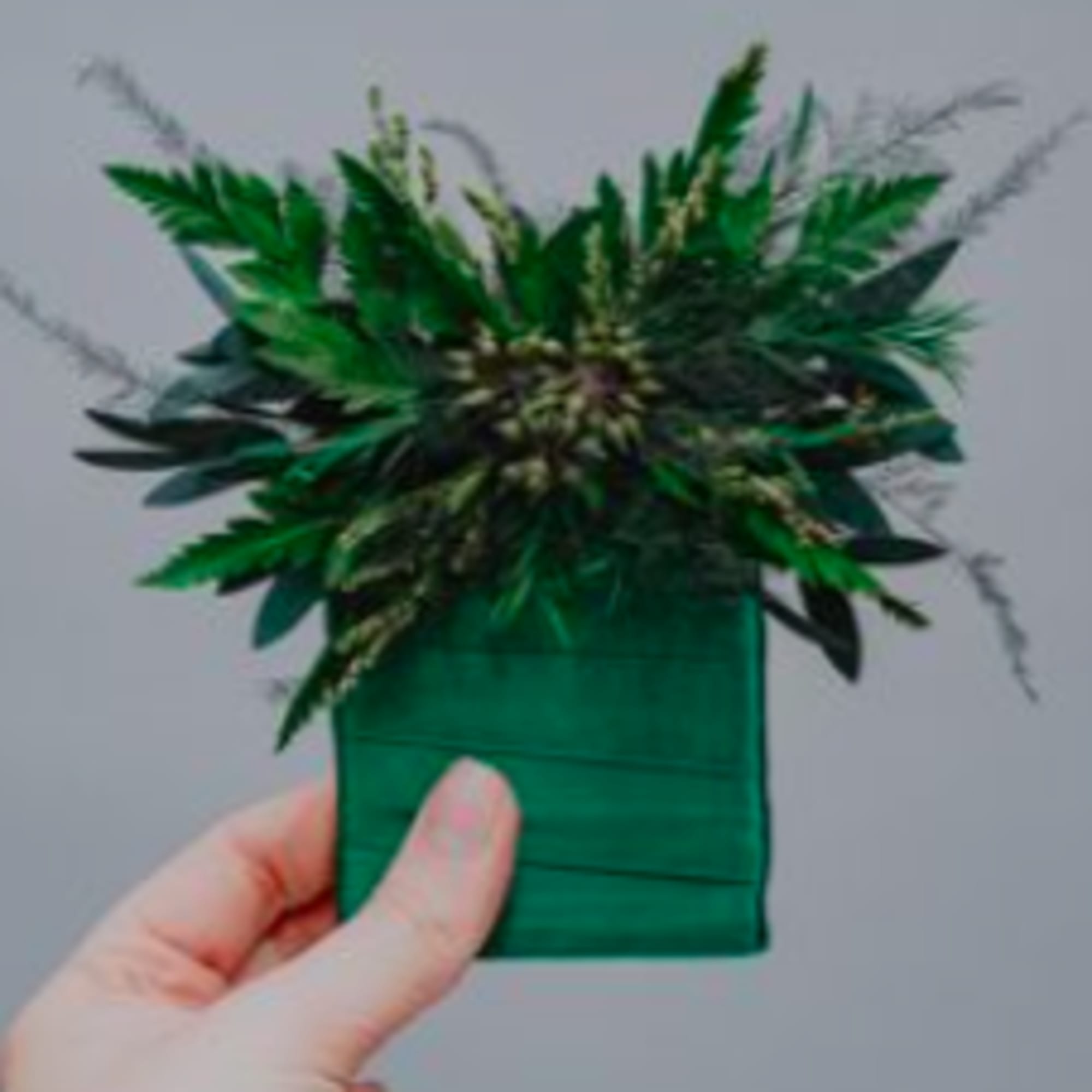 Small green floral arrangement in a square wrapped holder