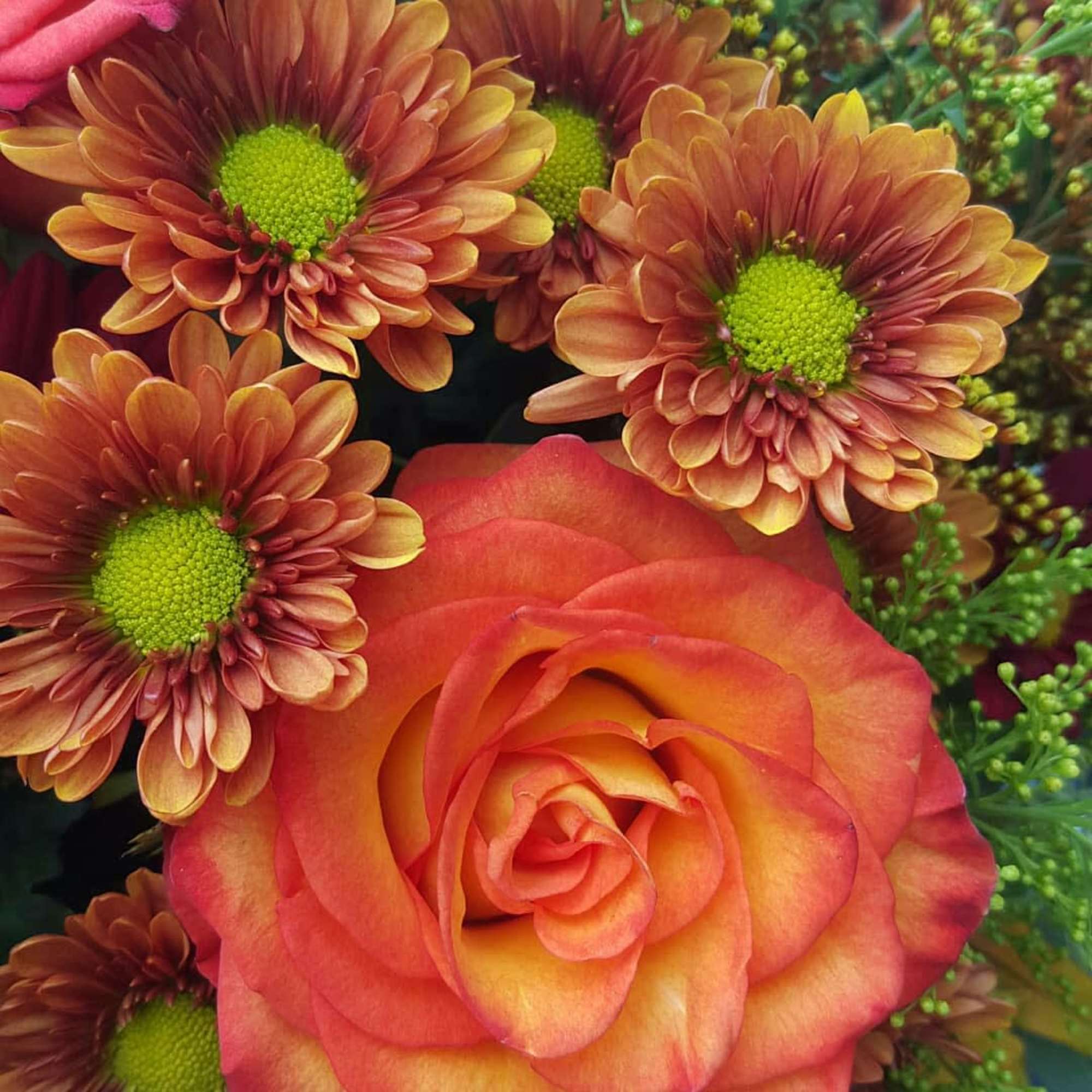 Orange rose with bronze daisy mums and green centers