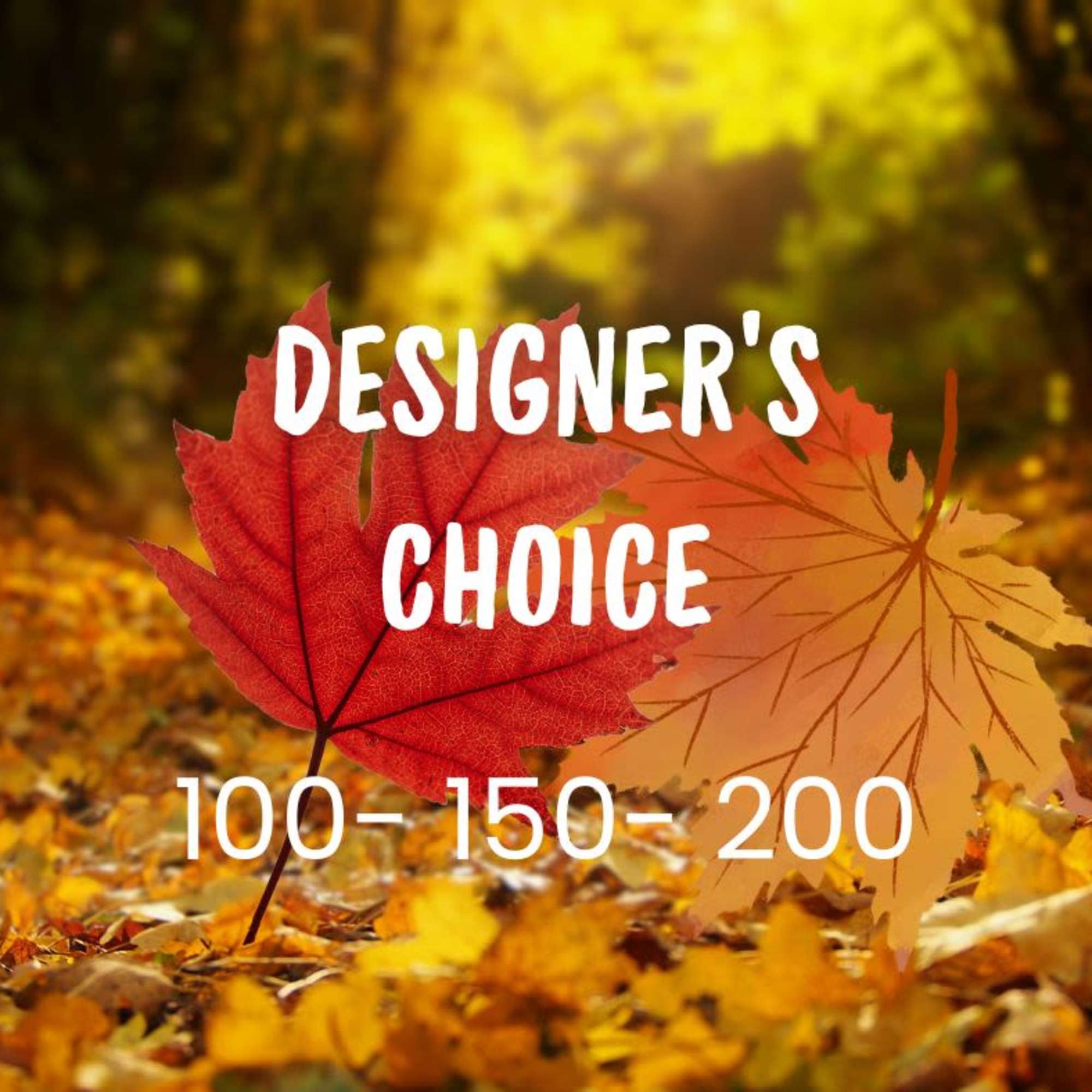 Autumn leaves with the text "Designer’s Choice" and "100-150-200"