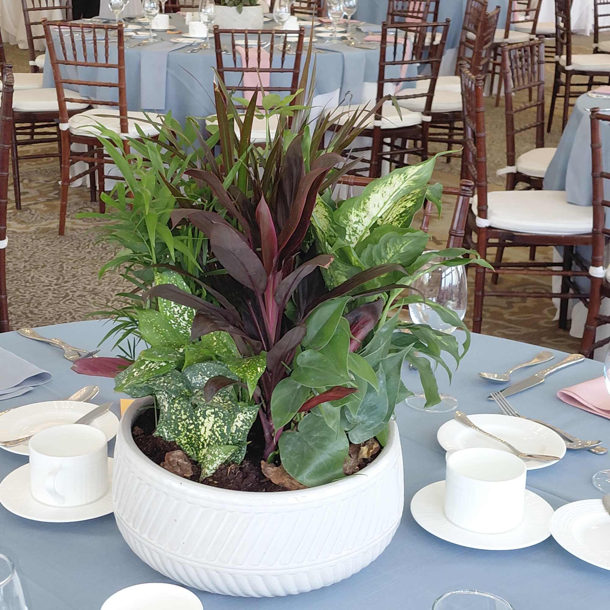Potted tropical foliage centerpiece in a white bowl on a table