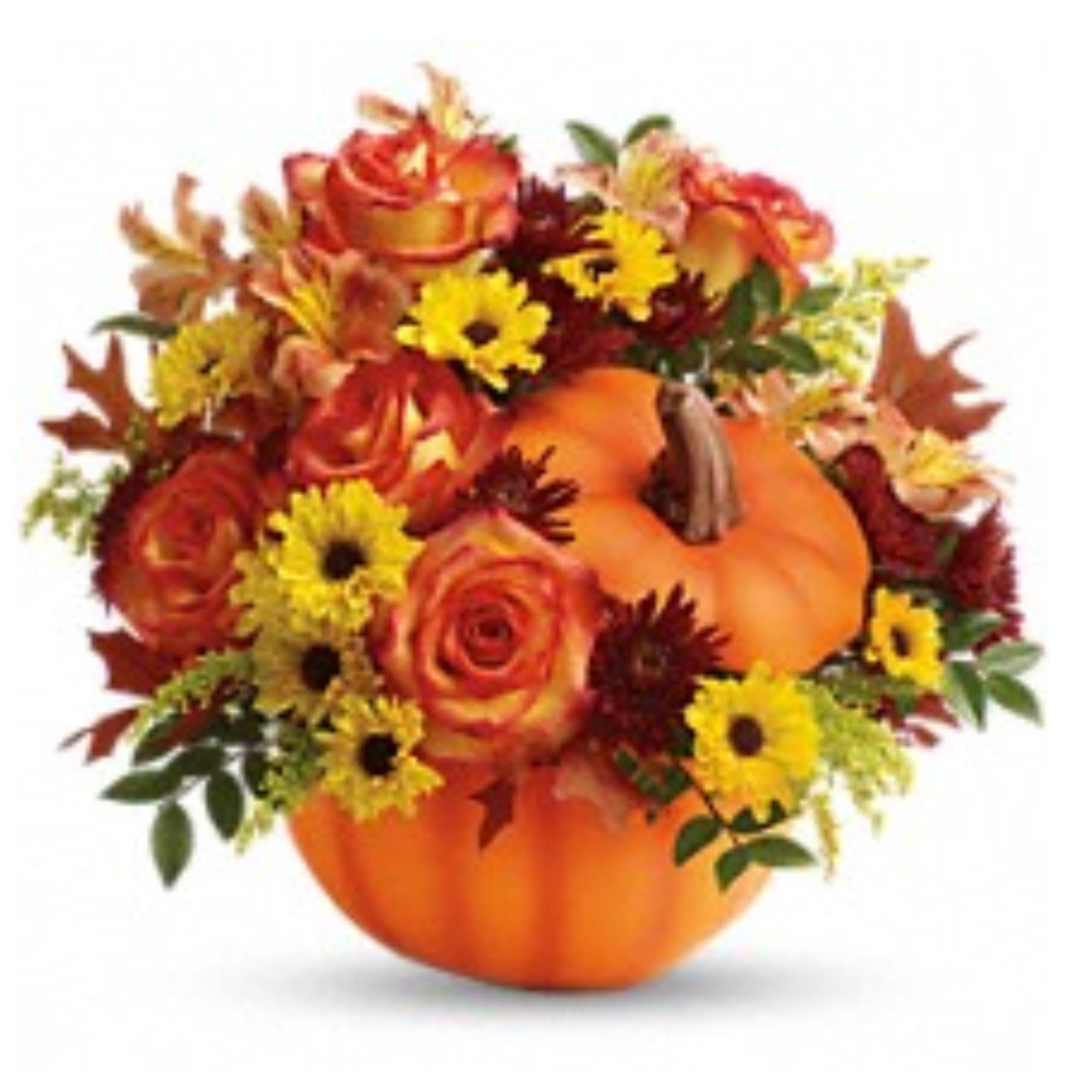 Pumpkin arrangement with orange roses and yellow daisies