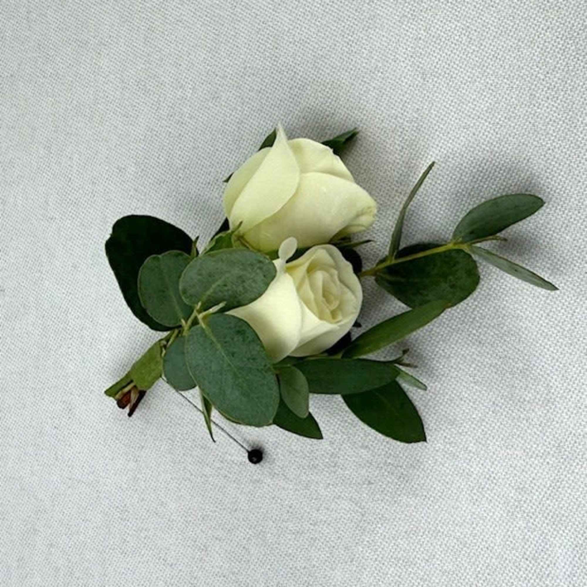 Two white rose buds with greenery on a fabric background