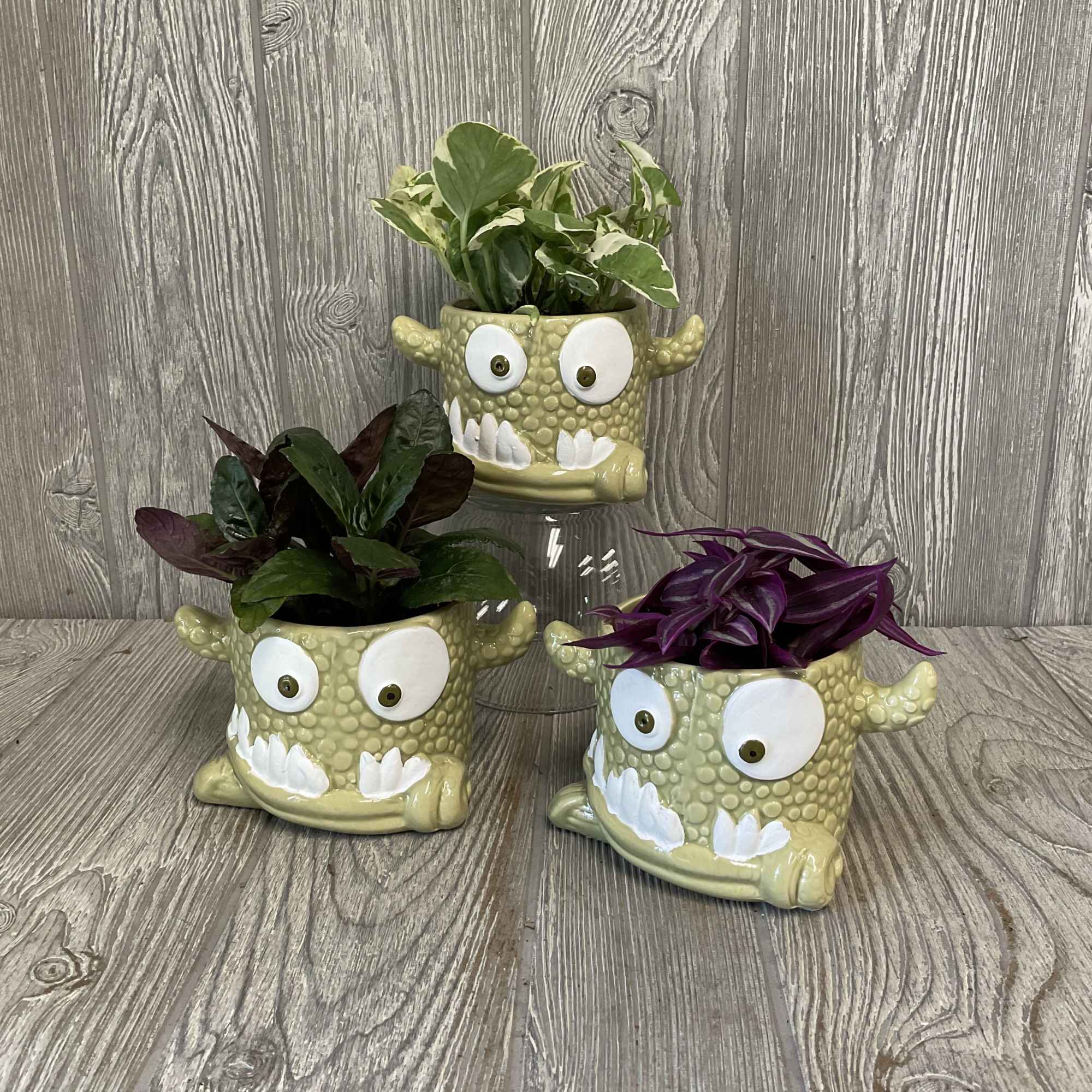 Three small potted plants in monster-face ceramic planters