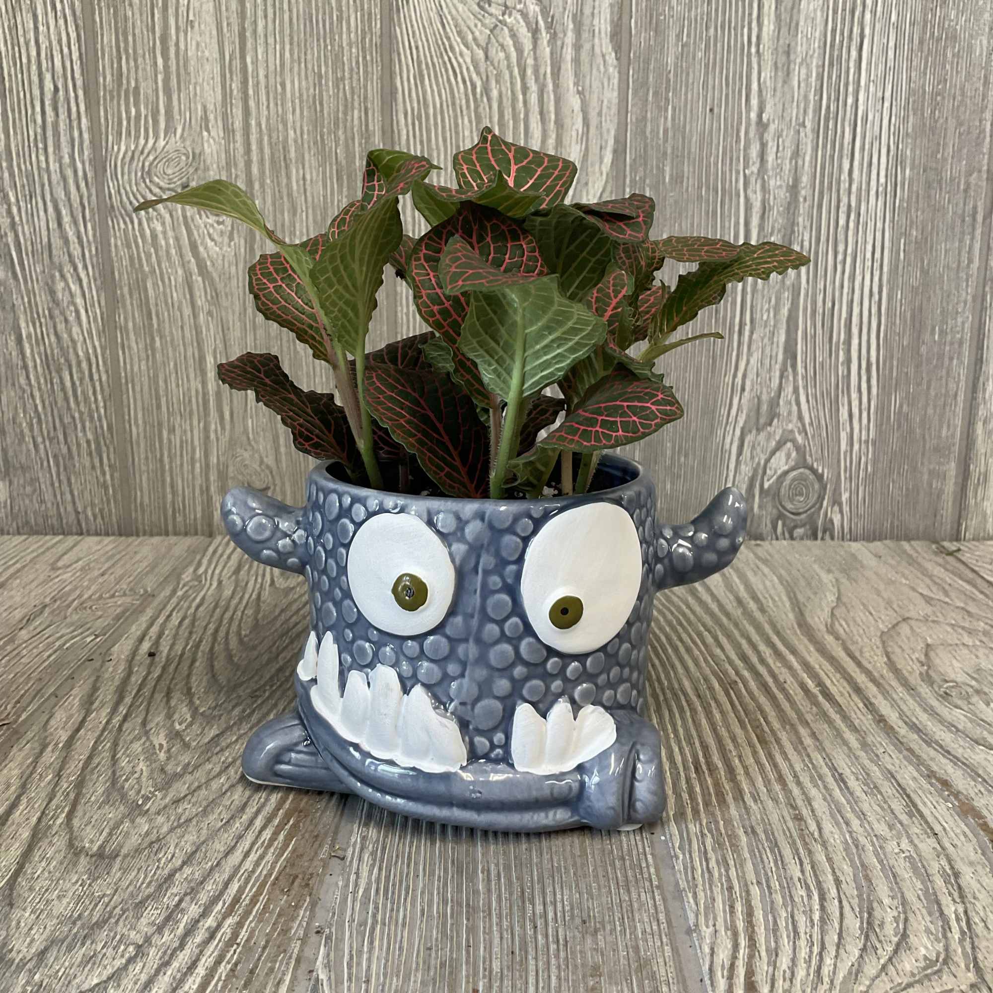 Potted plant in a gray monster-shaped ceramic container