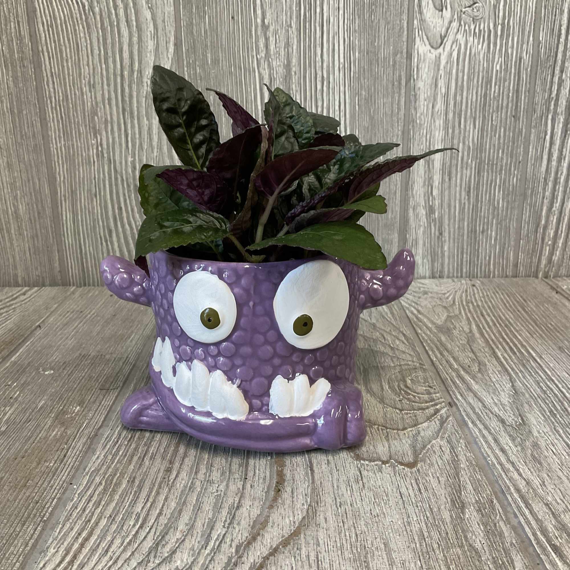 Purple monster-face planter holding a leafy plant