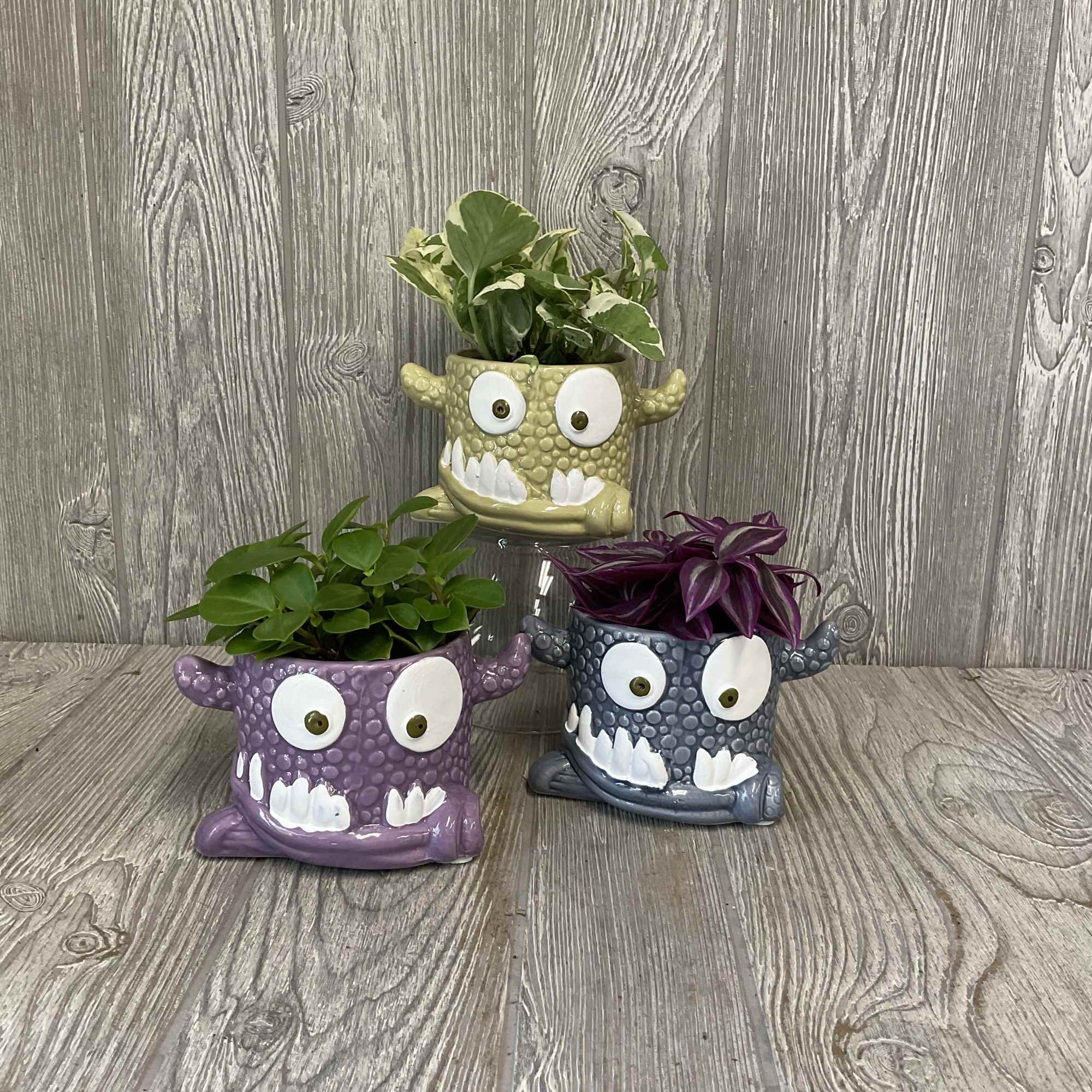 Three small potted plants in colorful monster-face planters