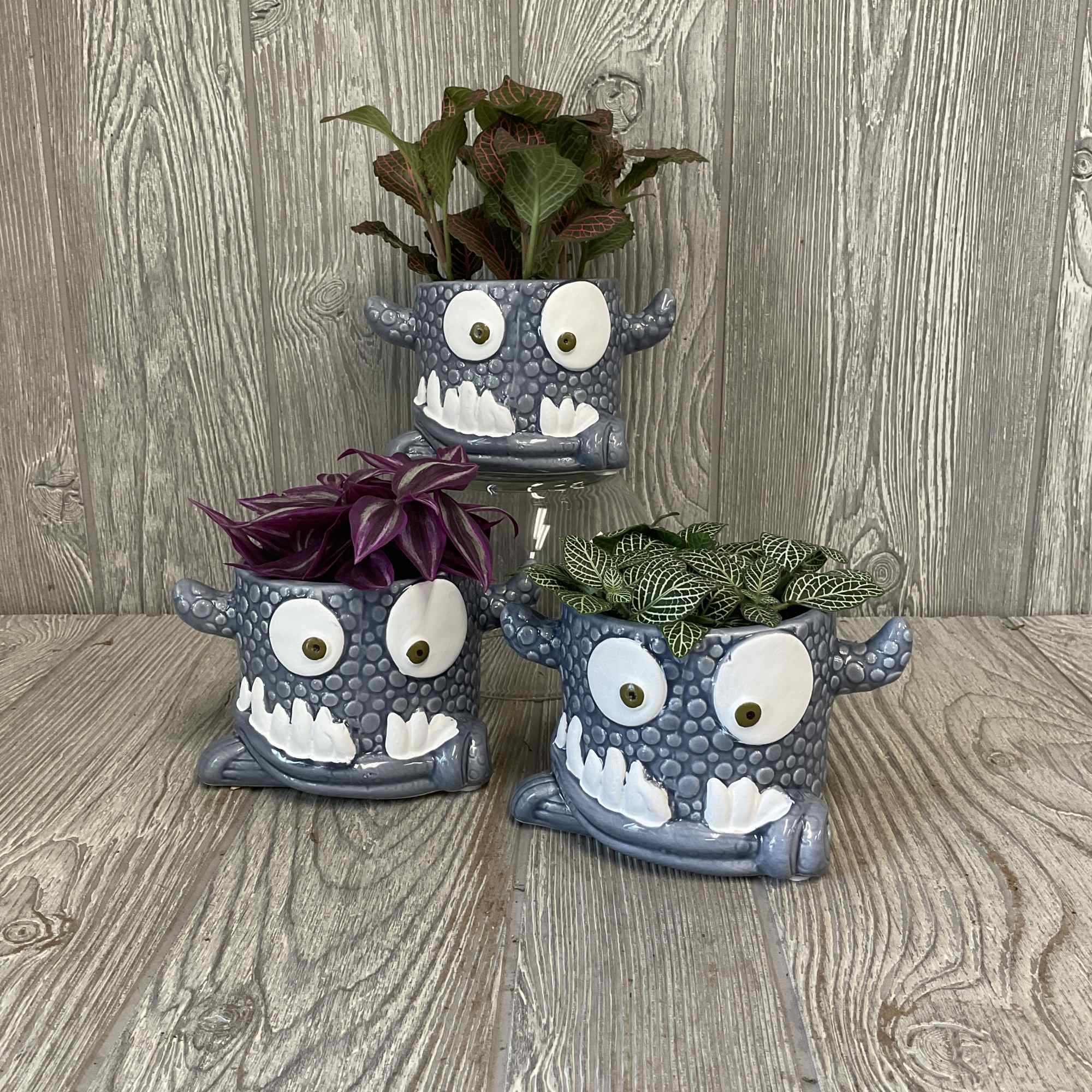 Three small potted plants in blue monster-shaped planters