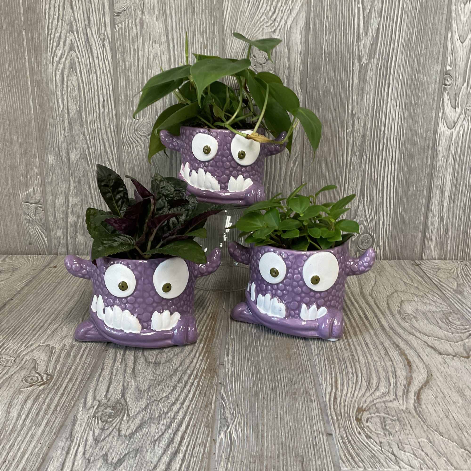 Three potted plants in purple monster-face planters