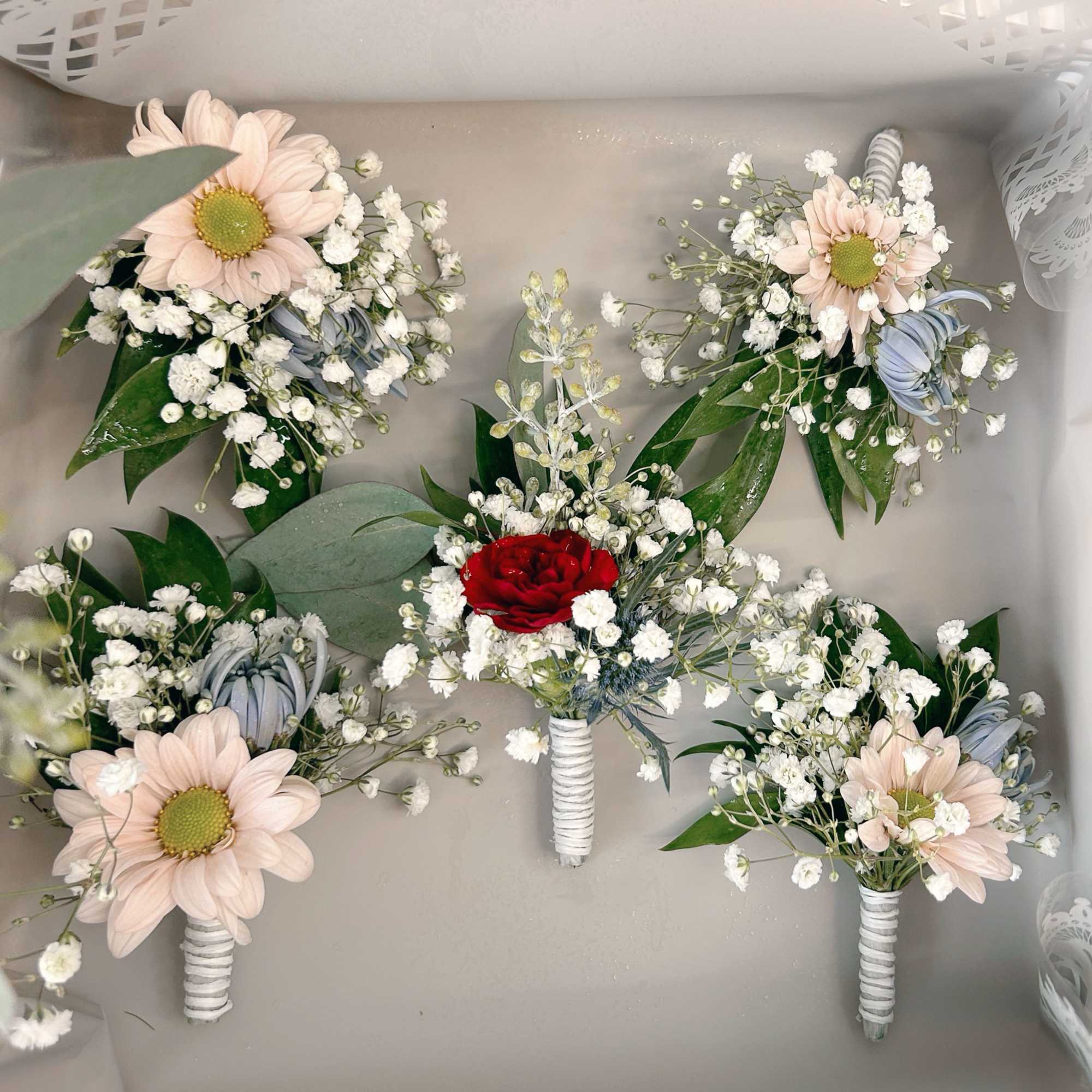 Set of small wedding boutonnieres with daisies, baby's breath, and a red rose