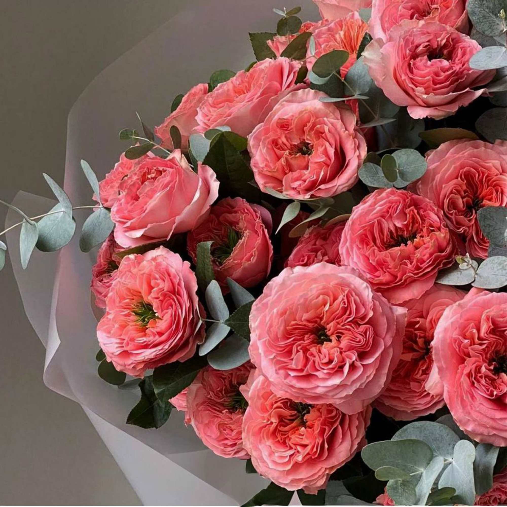 Bouquet of pink roses with eucalyptus in white wrapping