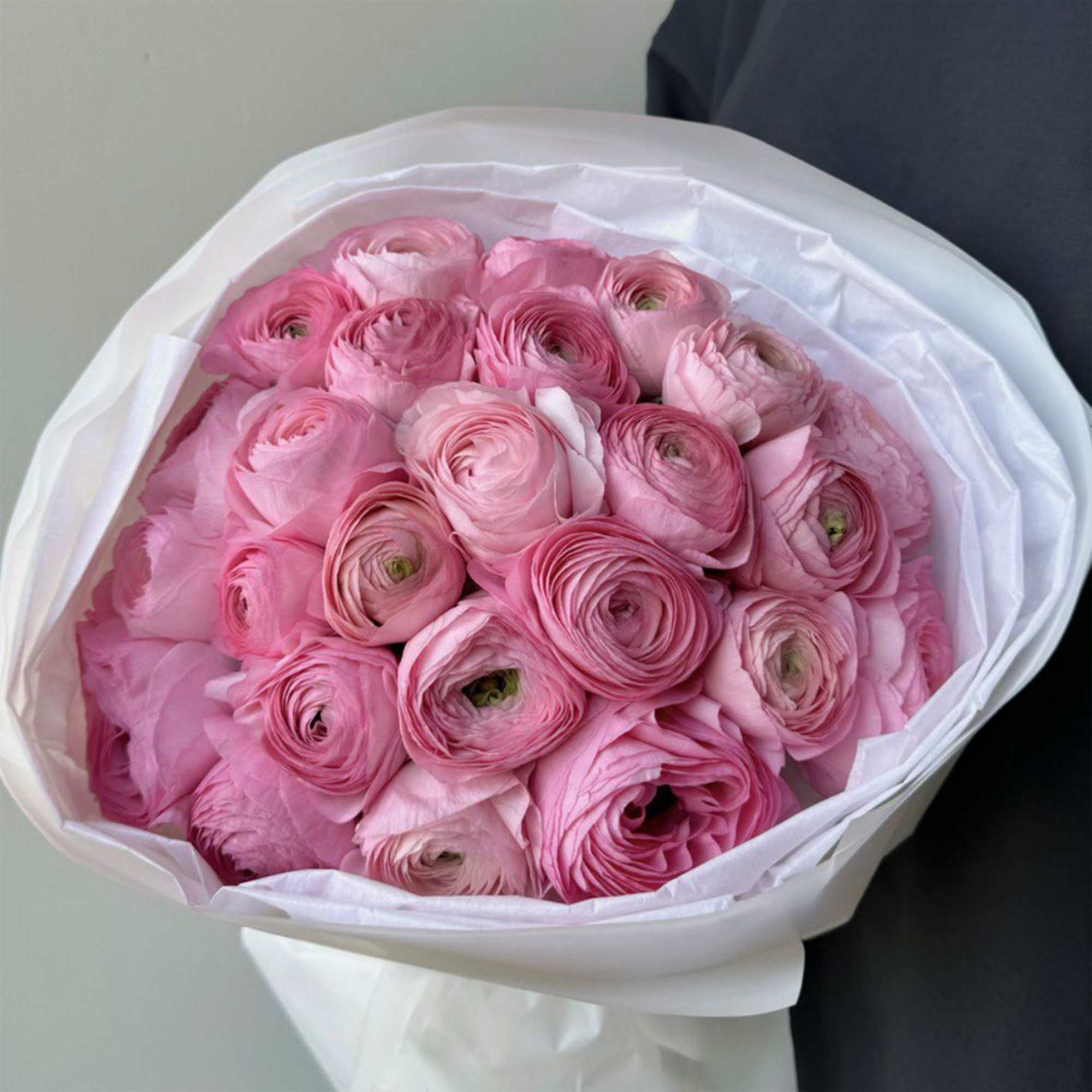 Bouquet of pink ranunculus wrapped in white paper