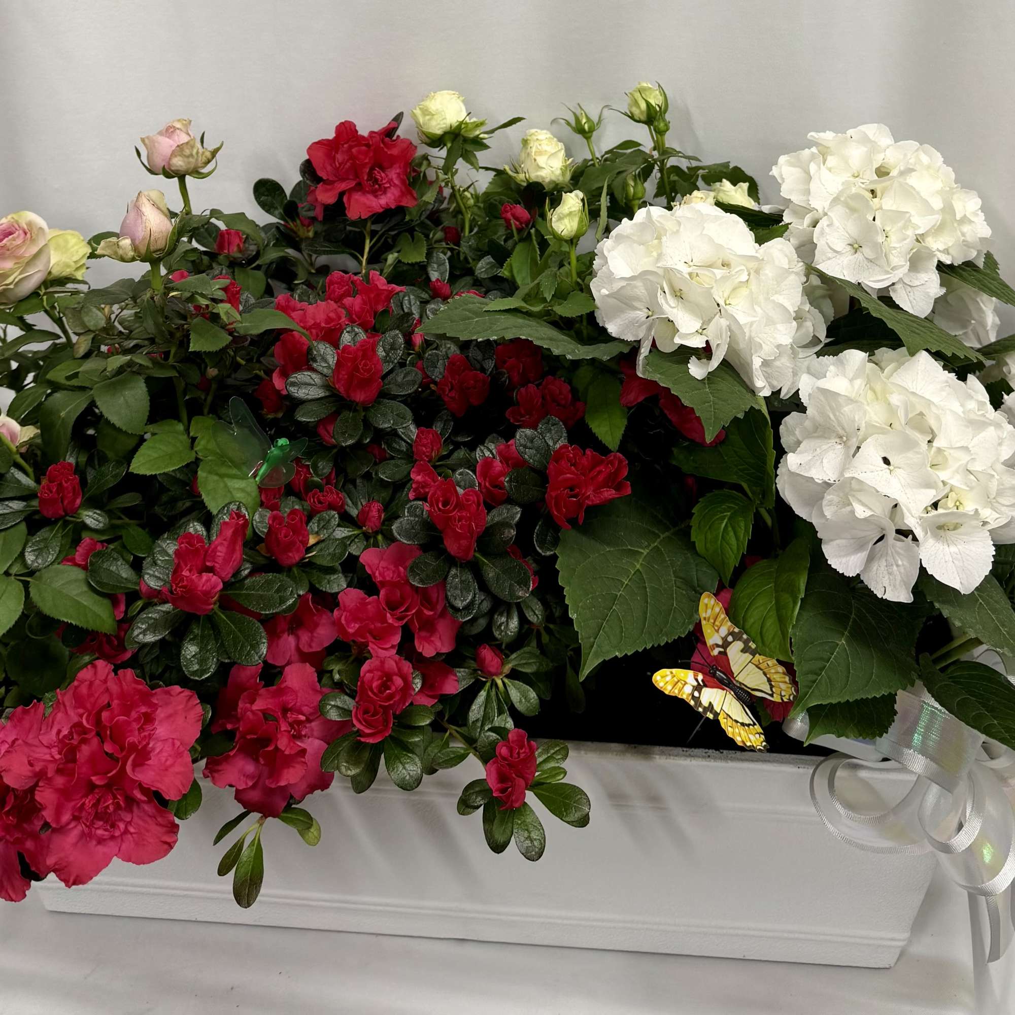 Mixed blooming plants potted in a rectangle plastic planter. Plants will vary.