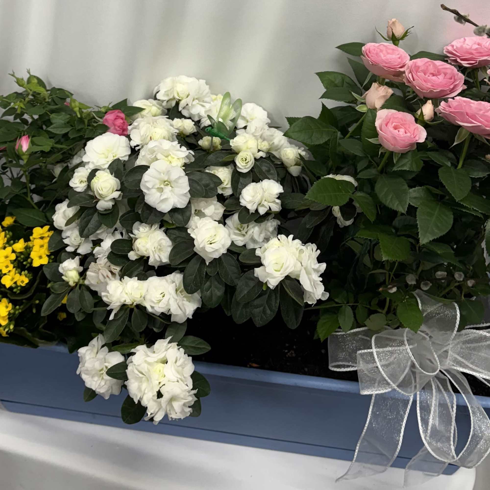 Mixed blooming plants potted in a rectangle plastic planter. Plants will vary., photo 2 of 2