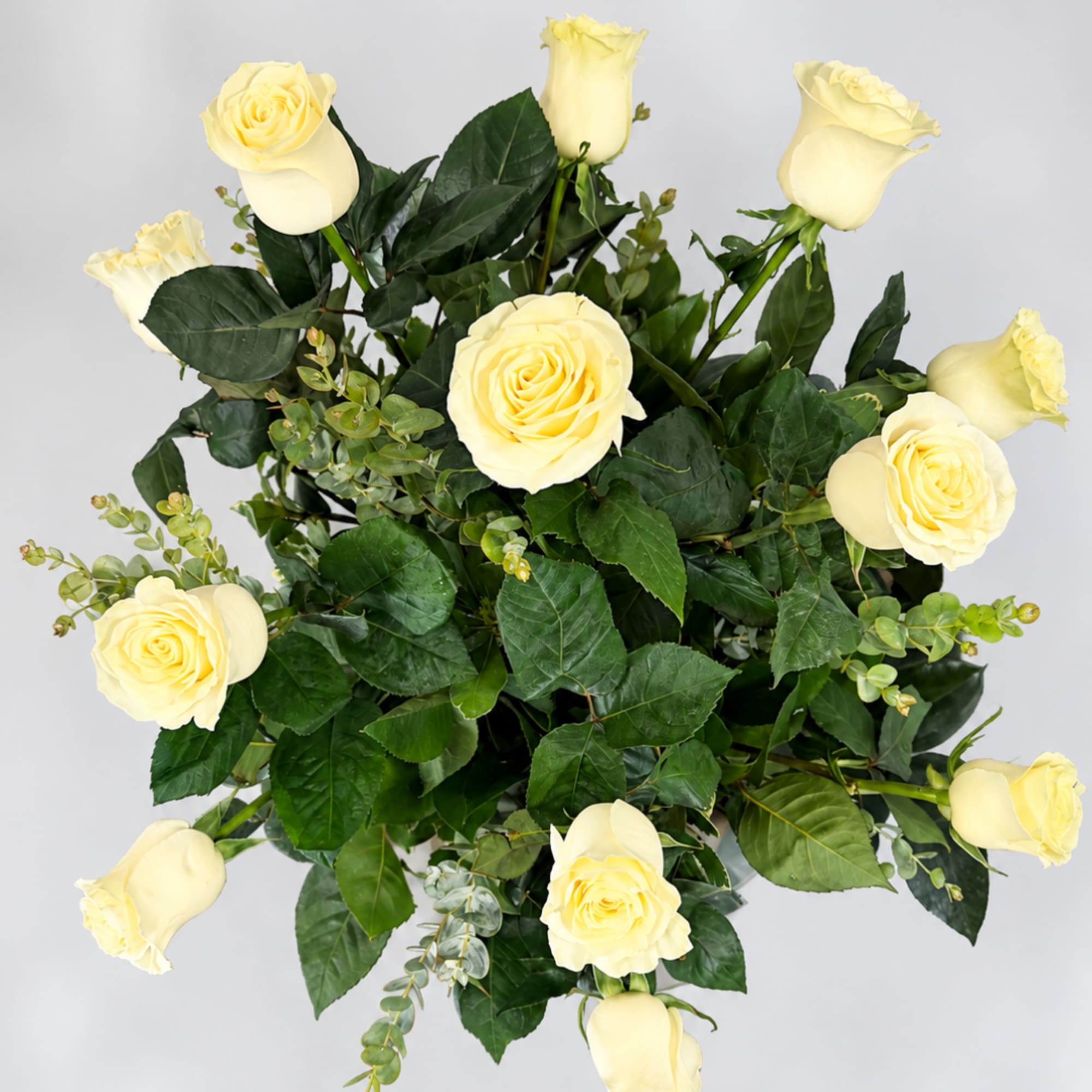 Bouquet of pale yellow roses with dark green foliage