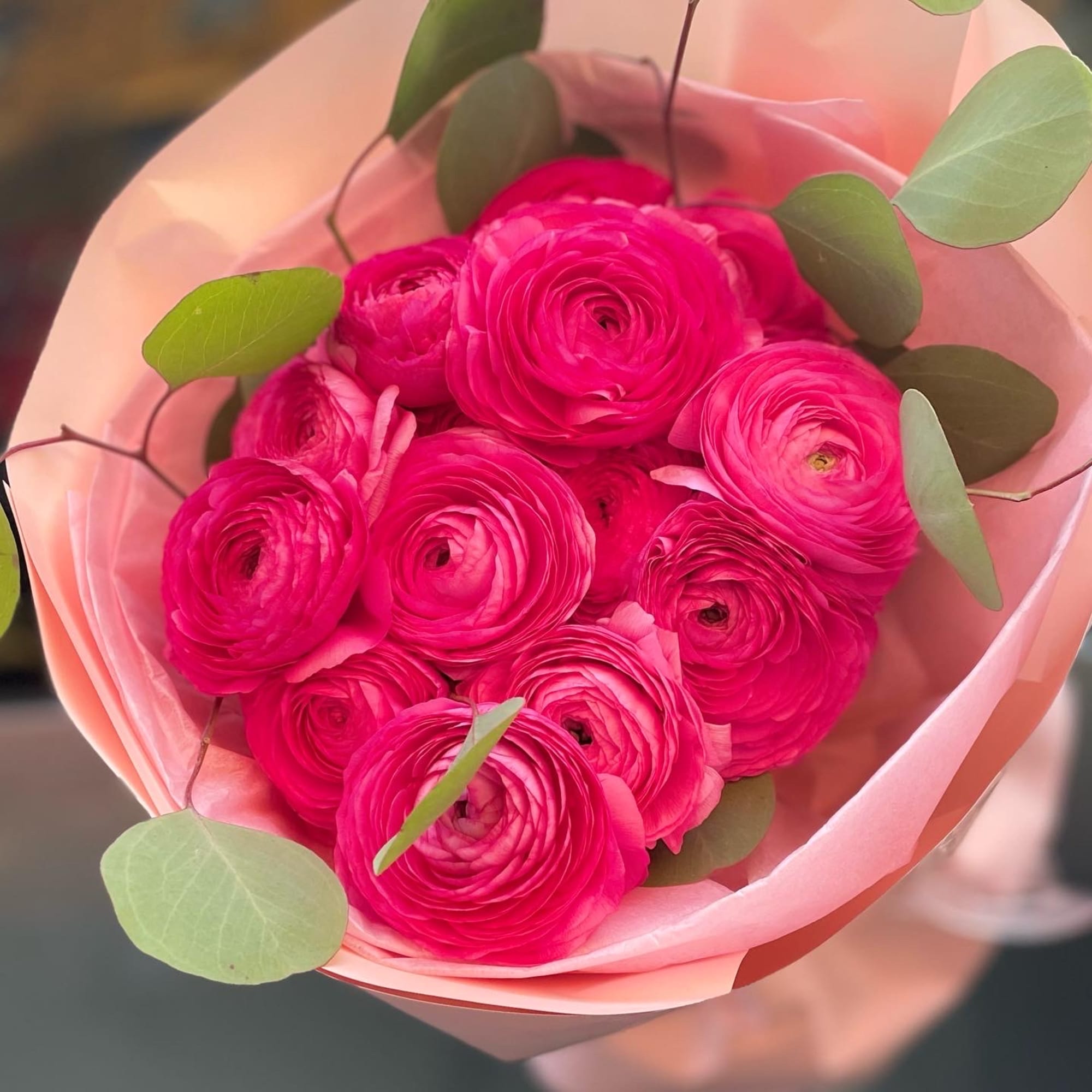 Bouquet of bright pink ranunculus with eucalyptus in pink wrap